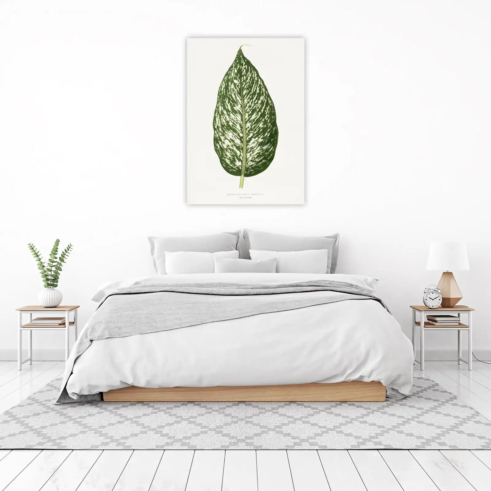 Dieffenbachia Leaf Botanical Wall Art