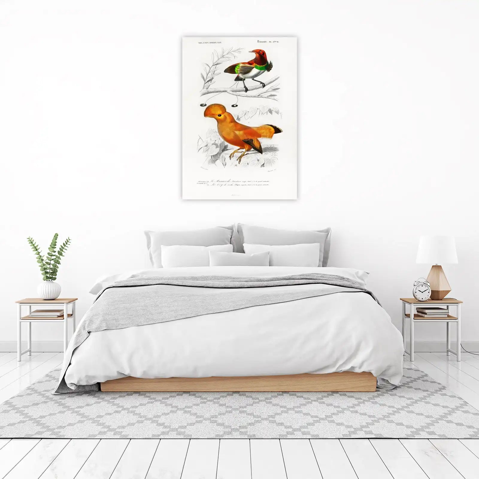 Vintage Birds of Paradise Wall Art - Exotic Wall Art