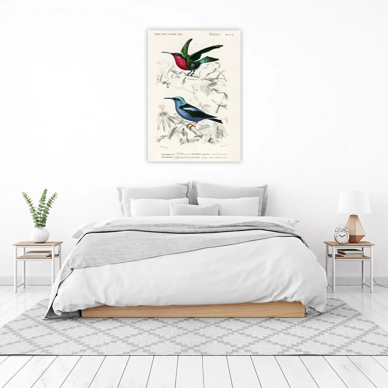 Vibrant Hummingbirds & Floral Vintage Ornithology Wall Art