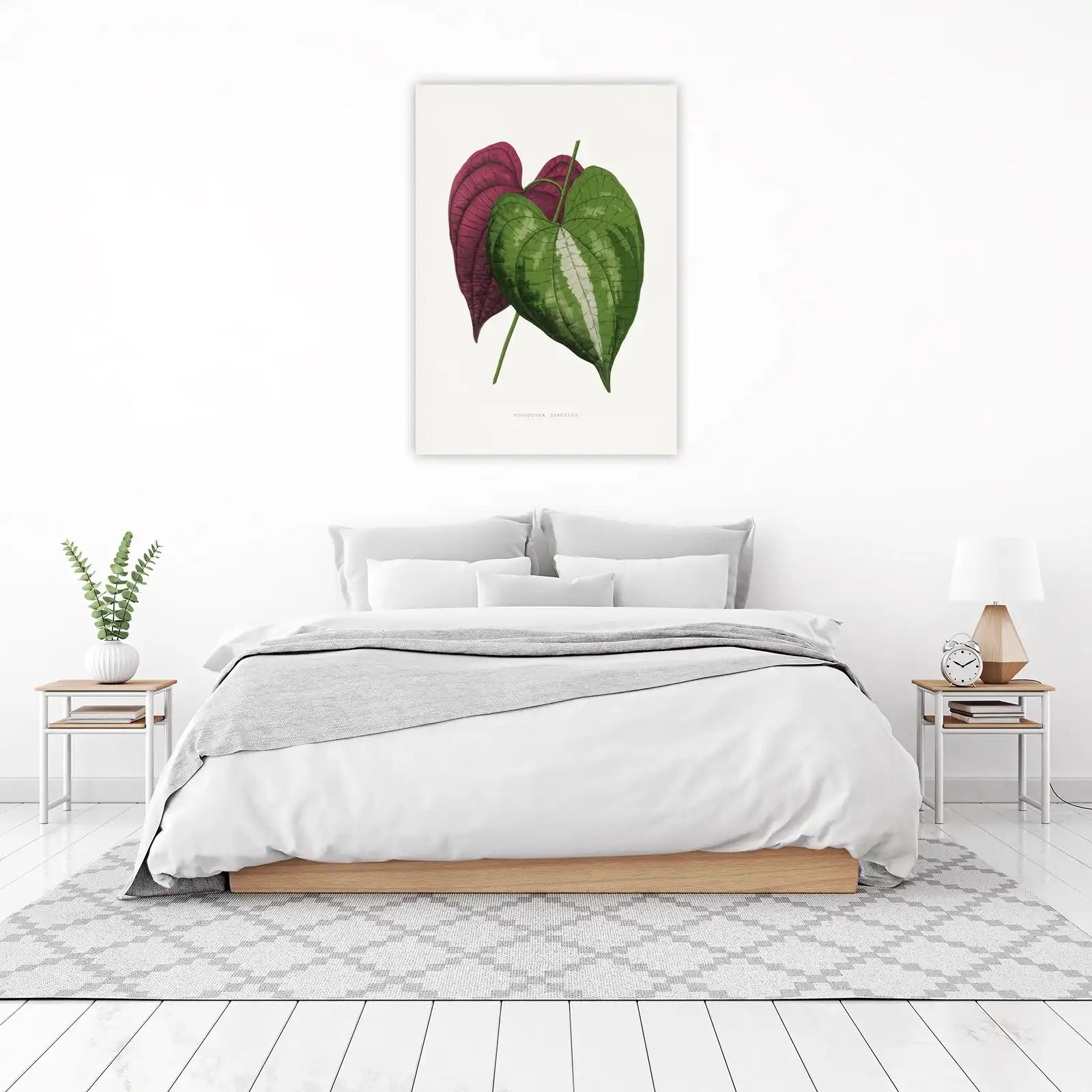 Botanical Dioscorea Discolor Leaf Wall Art