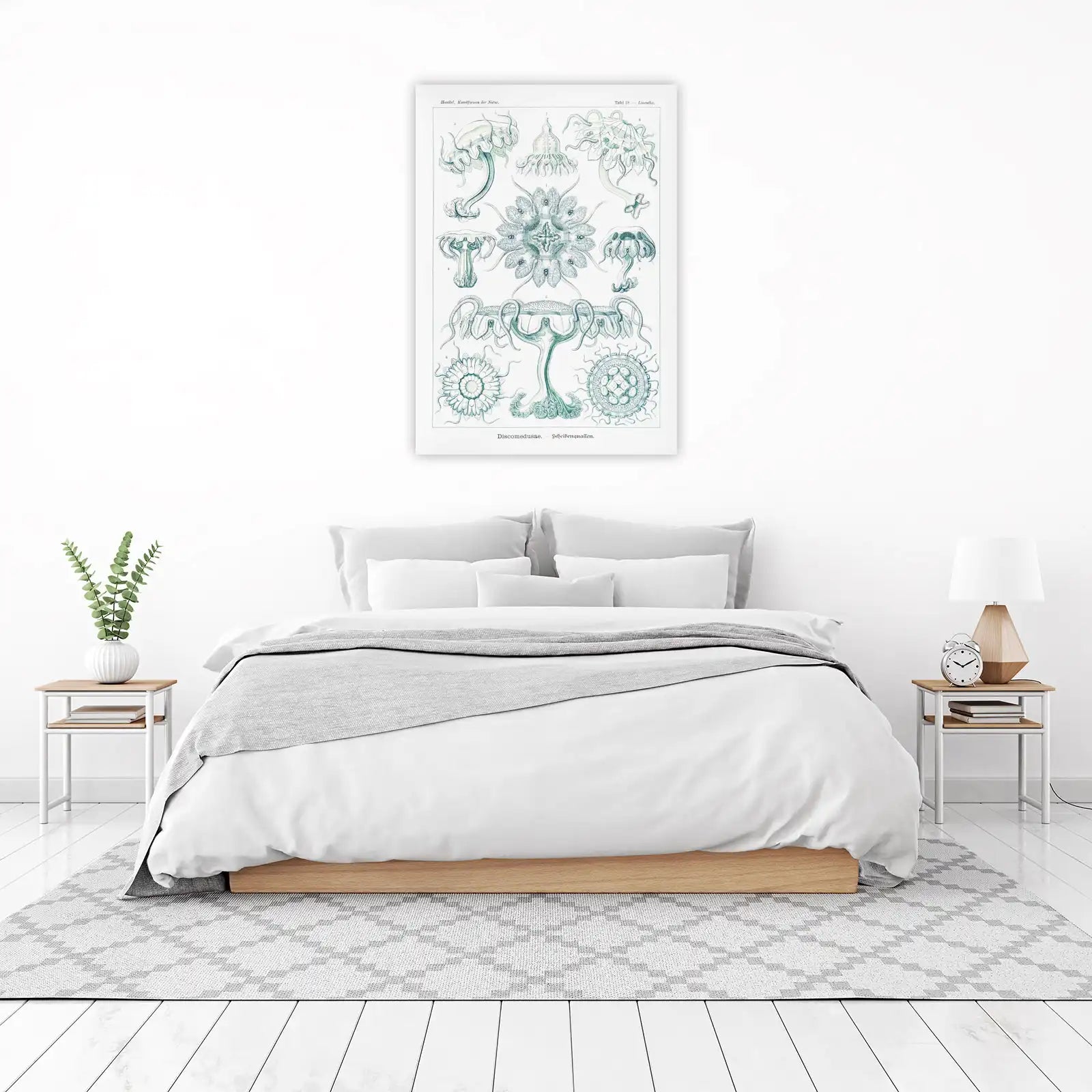 Vintage Jellyfish Scientific Illustration Wall Art