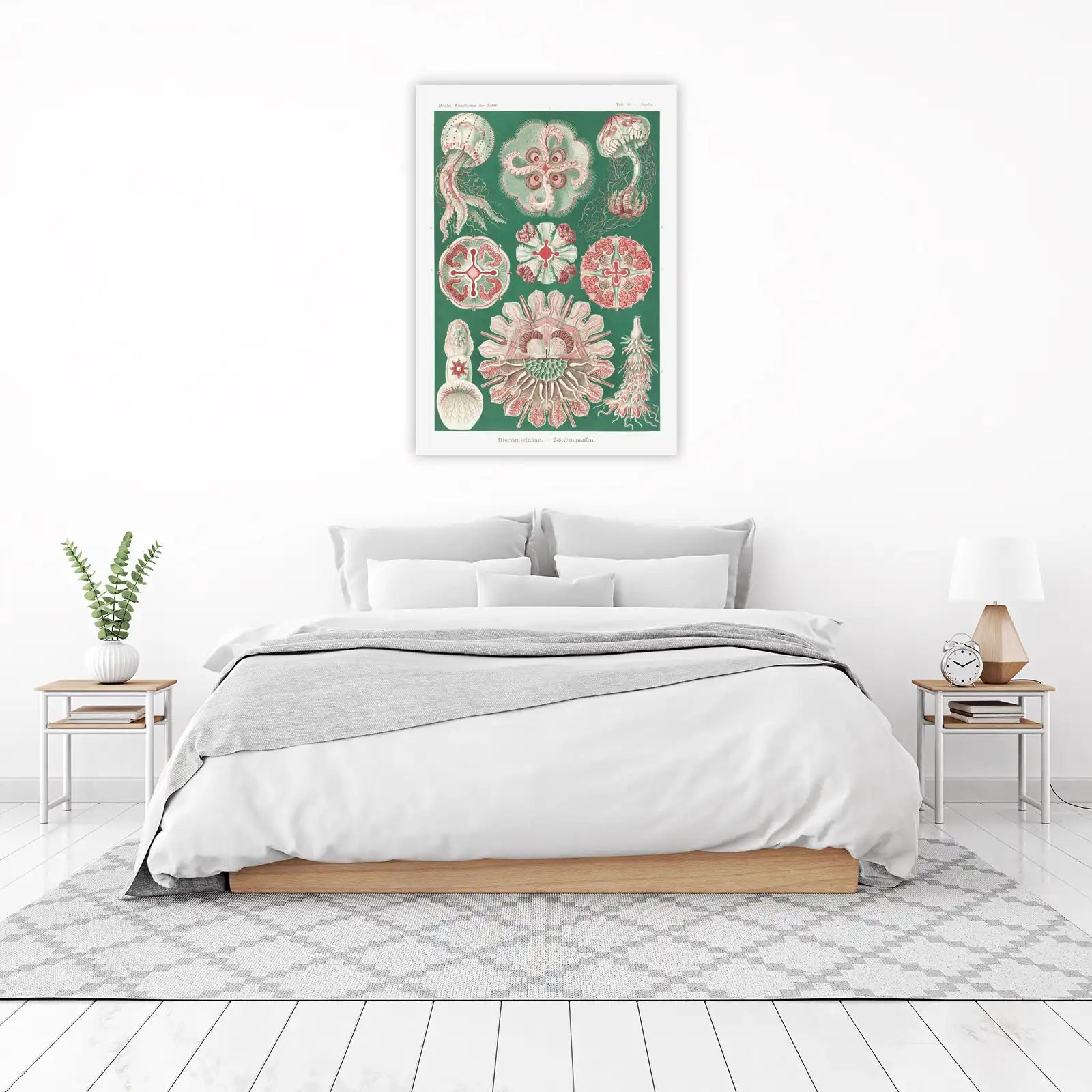 Vintage Jellyfish Scientific Art Wall Art