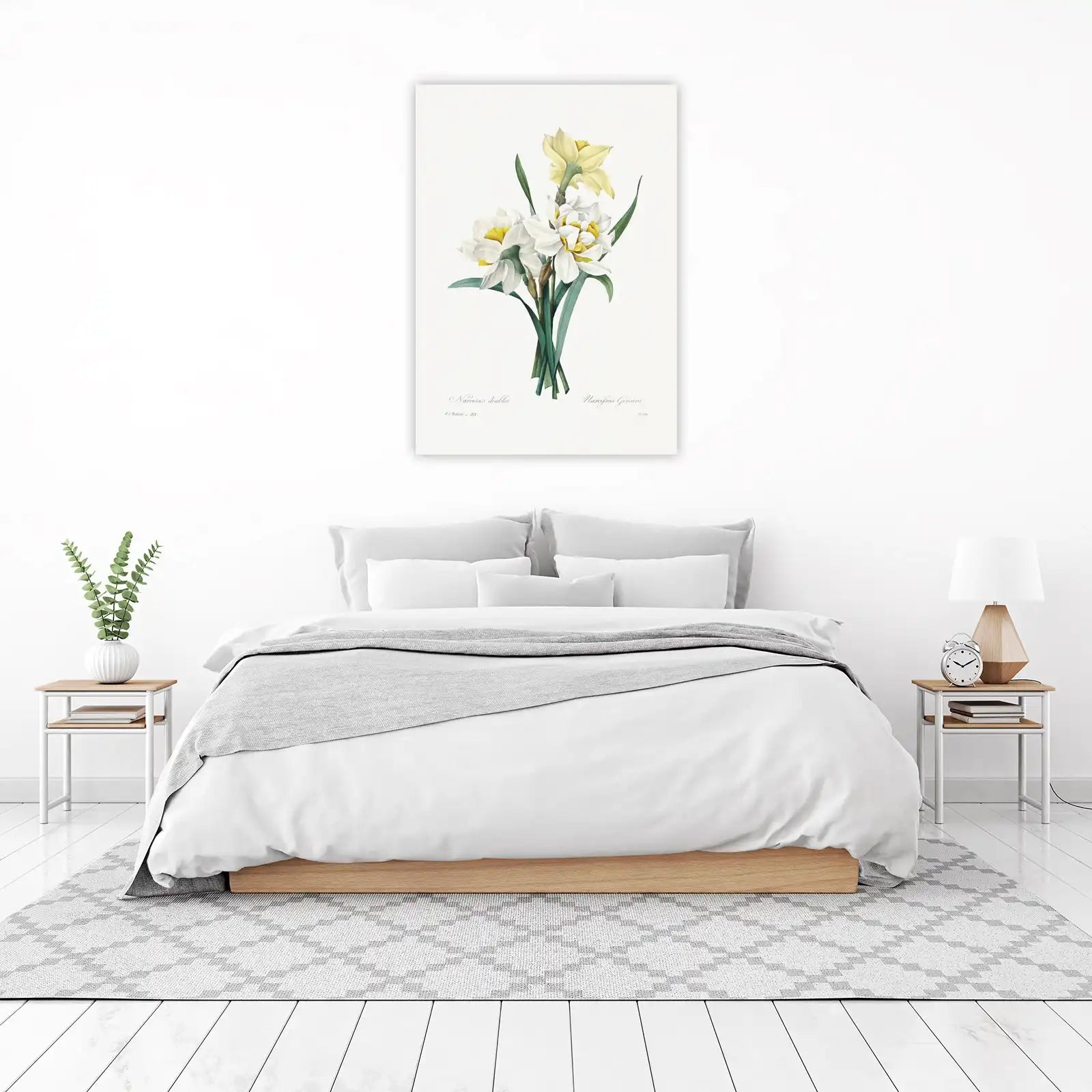Vintage Daffodil Botanical Art Wall Art