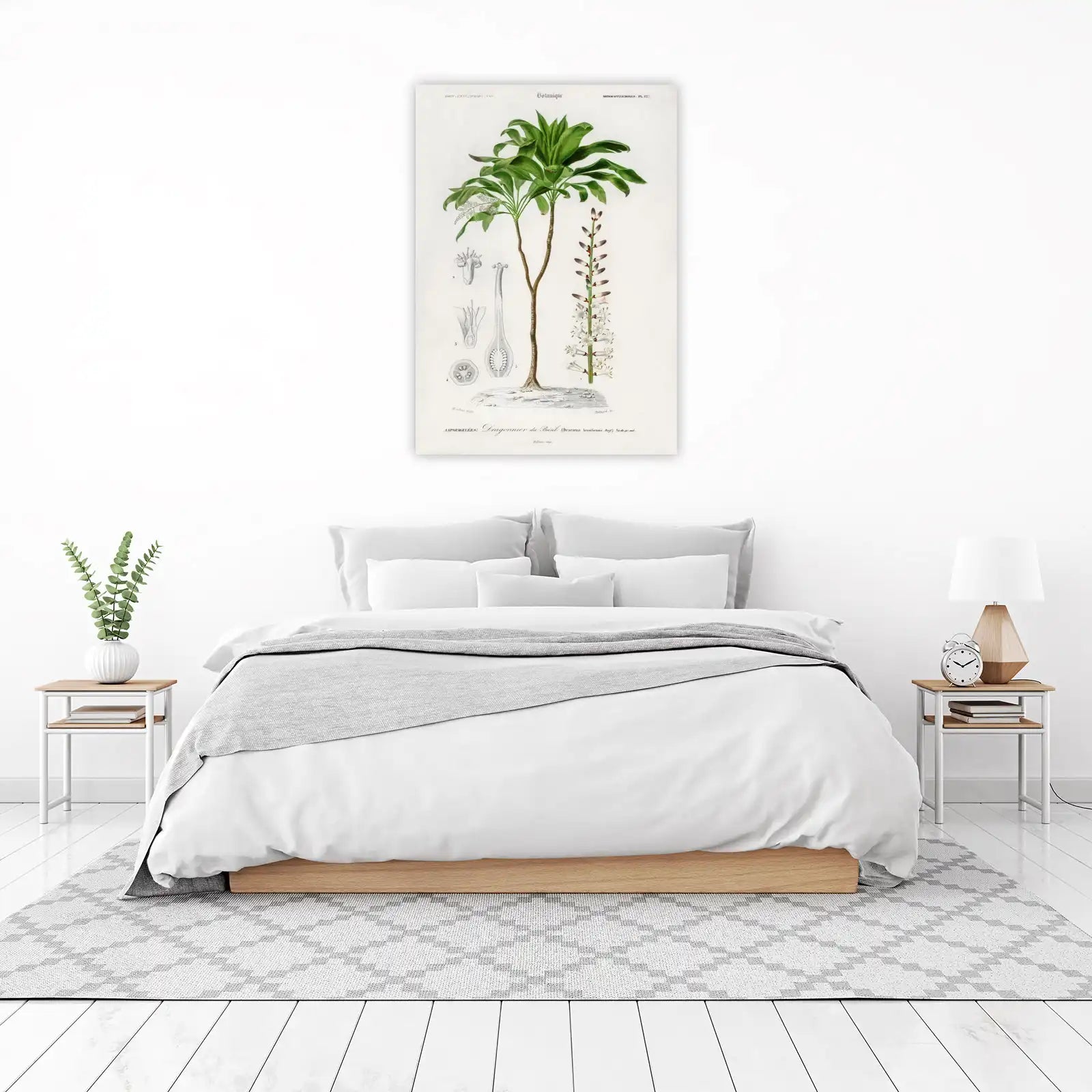 Vintage Botanical Dragon Tree Wall Art