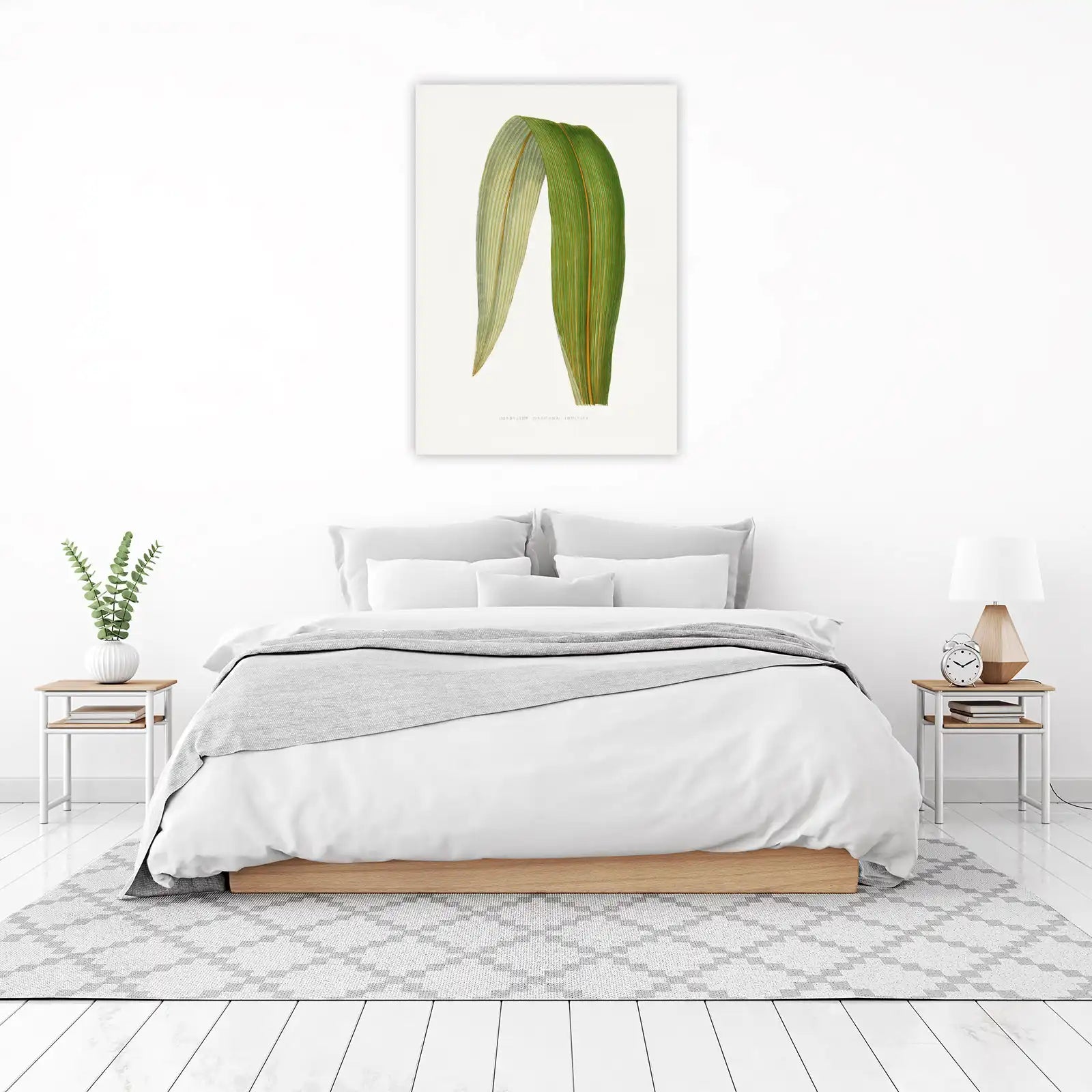 Cordyline Indivisa Leaf Botanical Wall Art