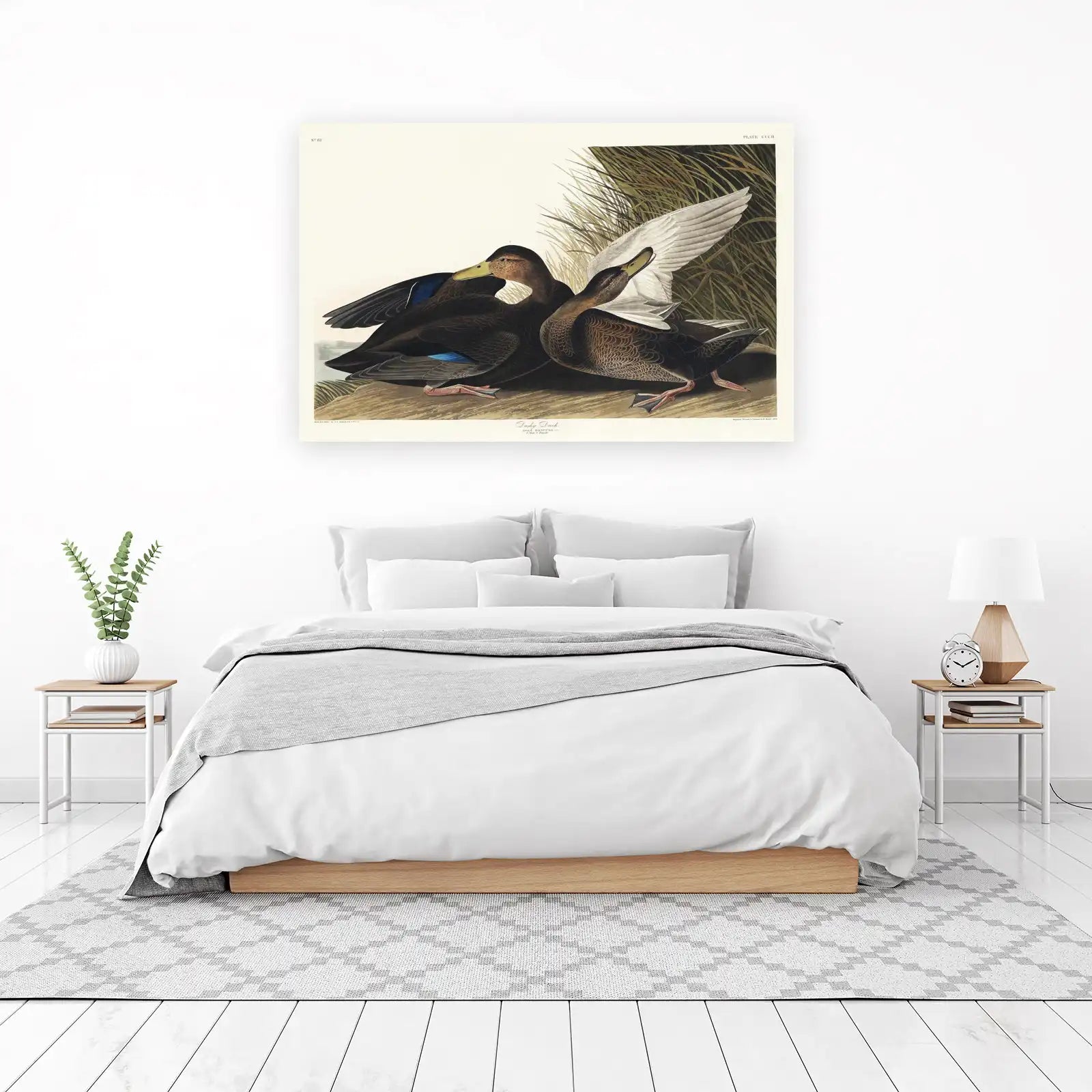 Vintage Dusky Duck Art Wall Art