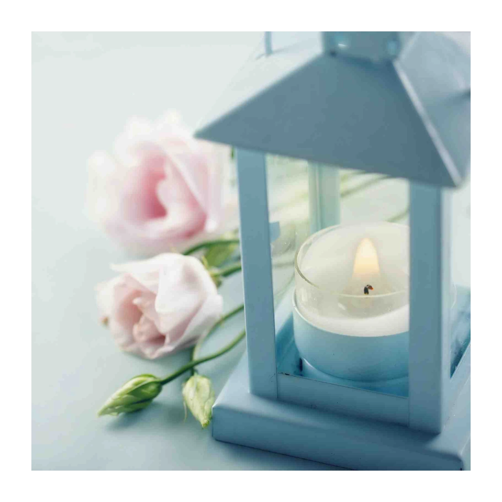 Serene Pastel Blossom Candle Lantern Wall Art