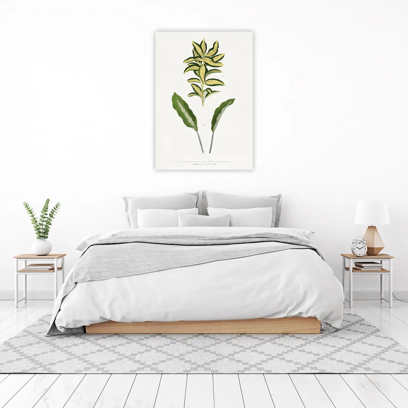 Botanical Leaf Print - Japanese Euonymus Wall Art