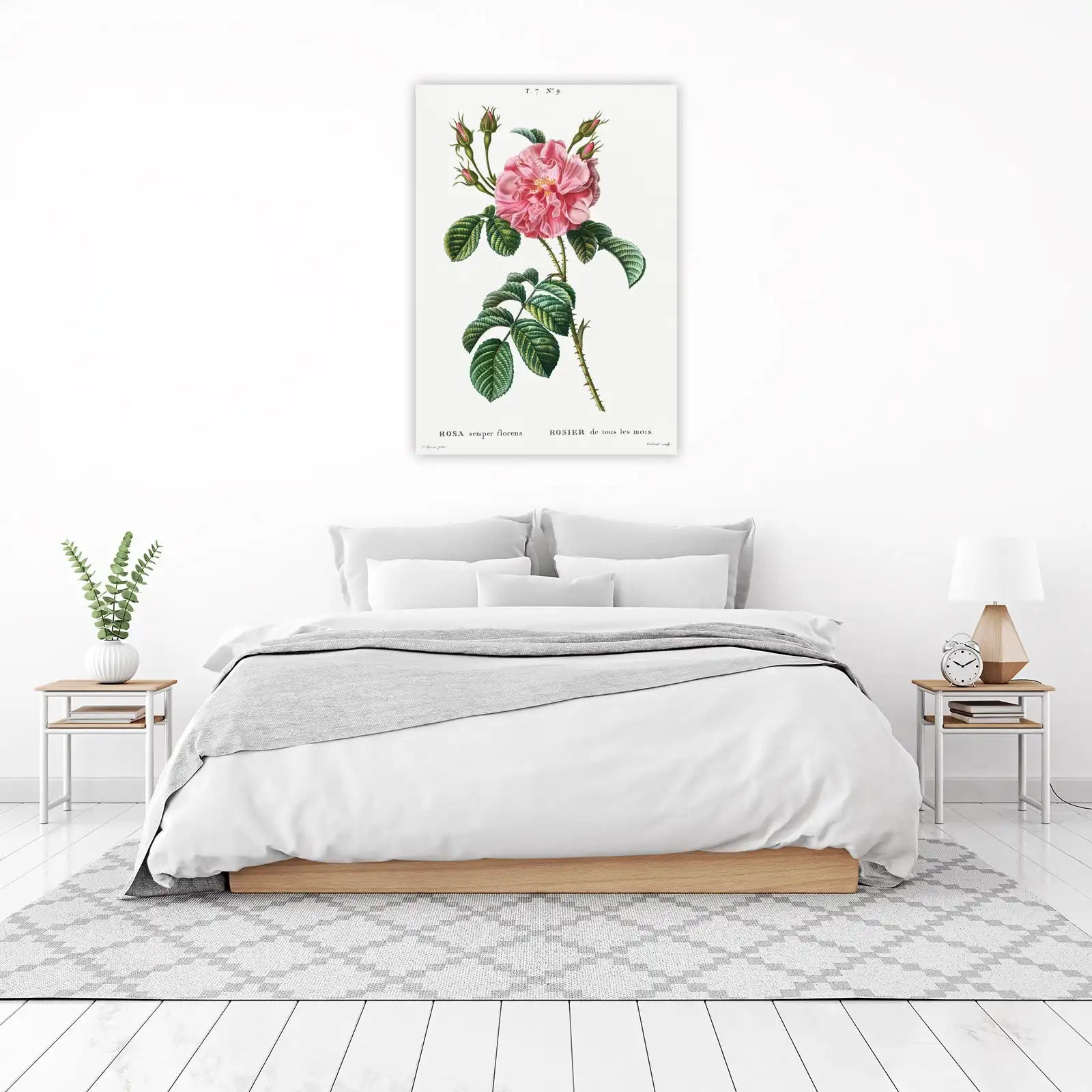 Vintage Pink Rose Botanical Wall Art Wall Art