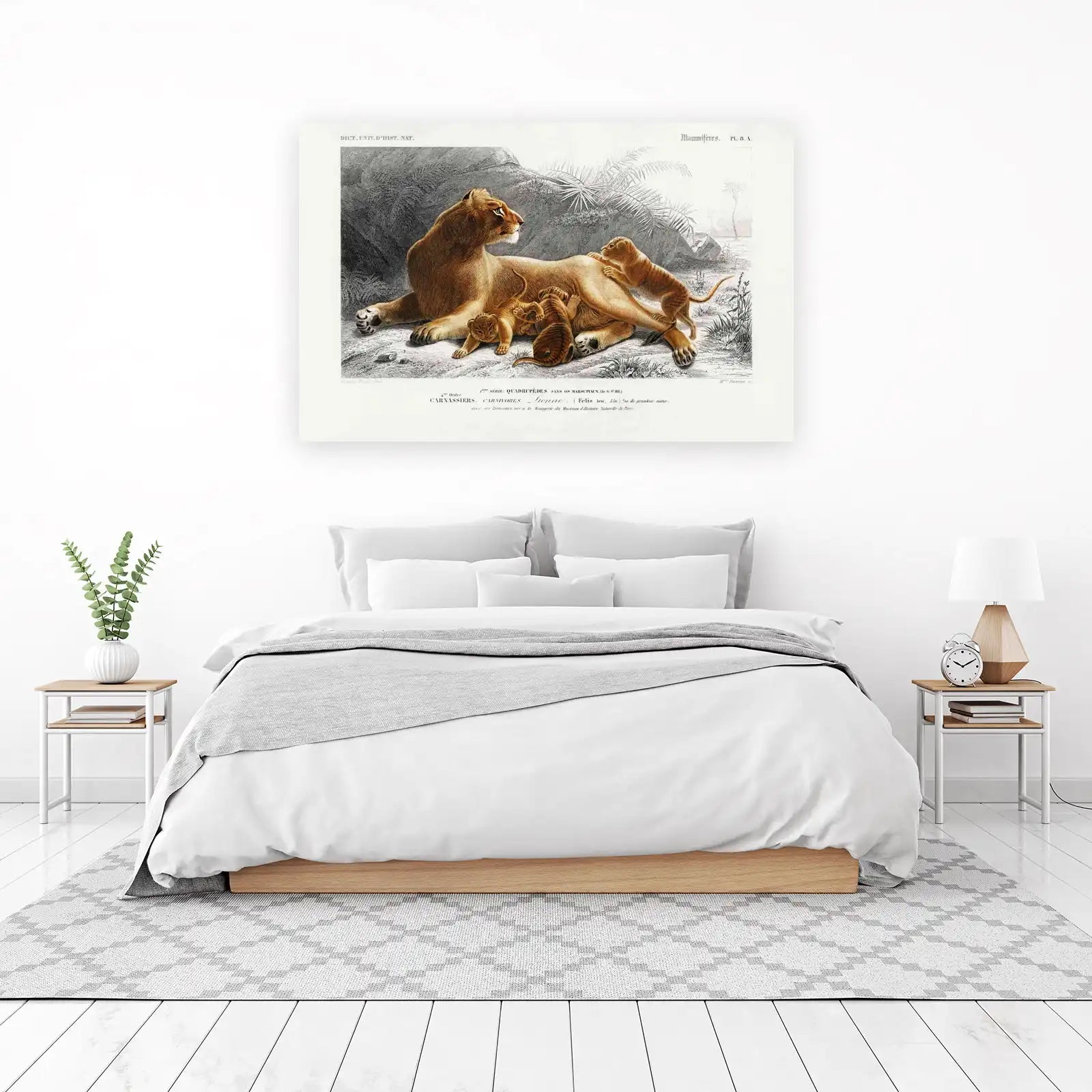 Majestic Lioness & Cubs Vintage Wildlife Wall Art