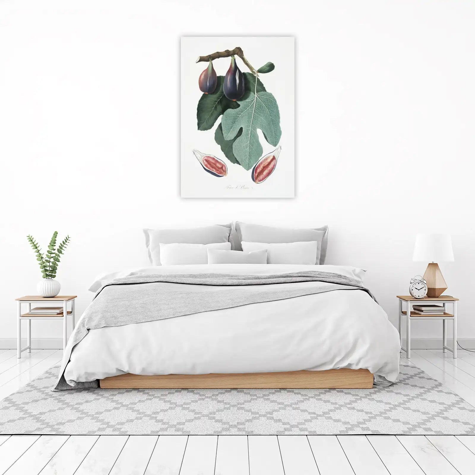 Vintage Figs Botanical Art Wall Art