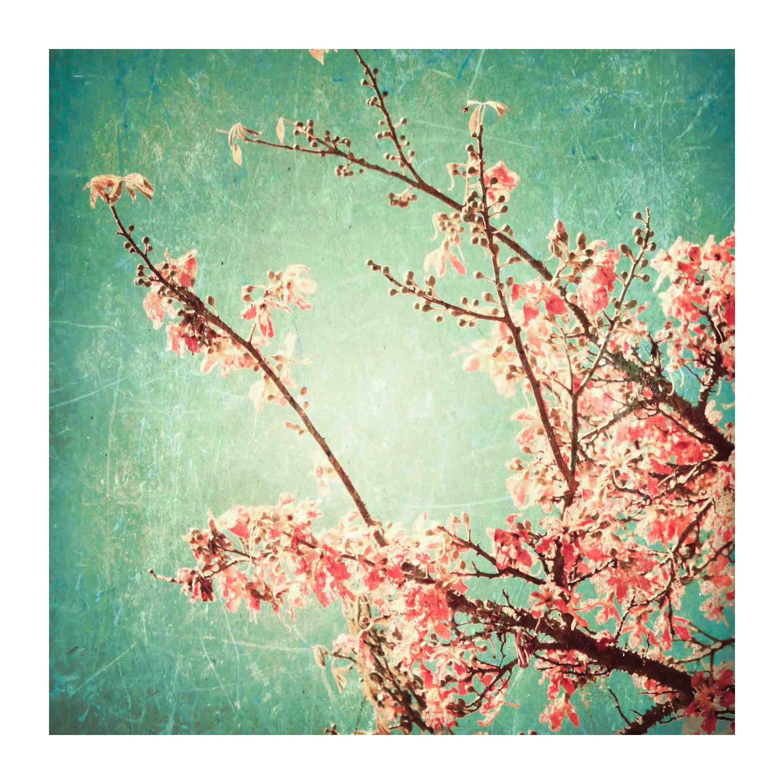Vintage Peach Blossom Teal Sky Wall Art
