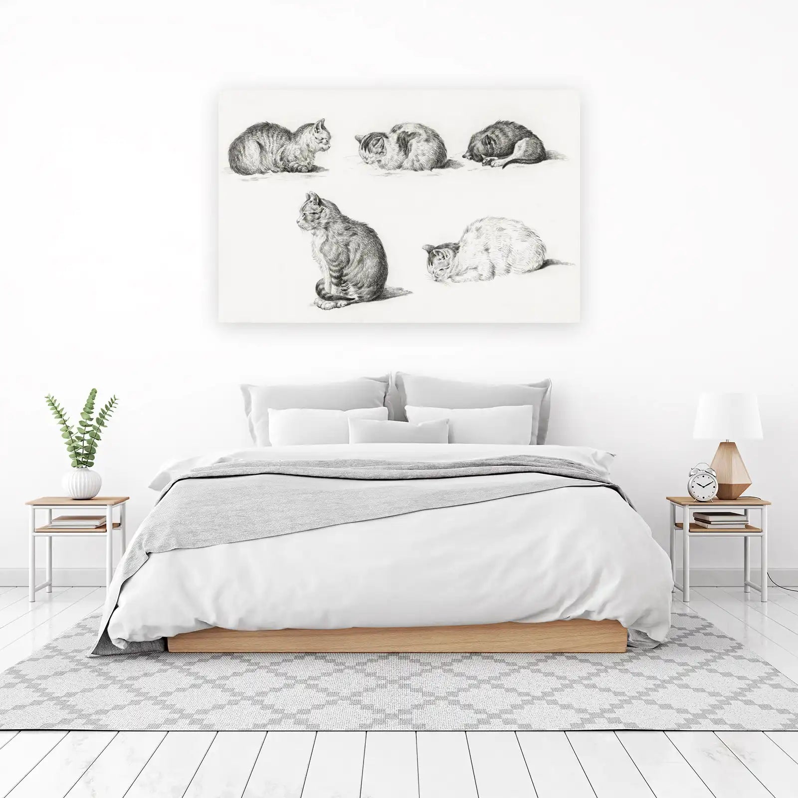 Vintage Cat Studies Vintage Sketch Wall Art