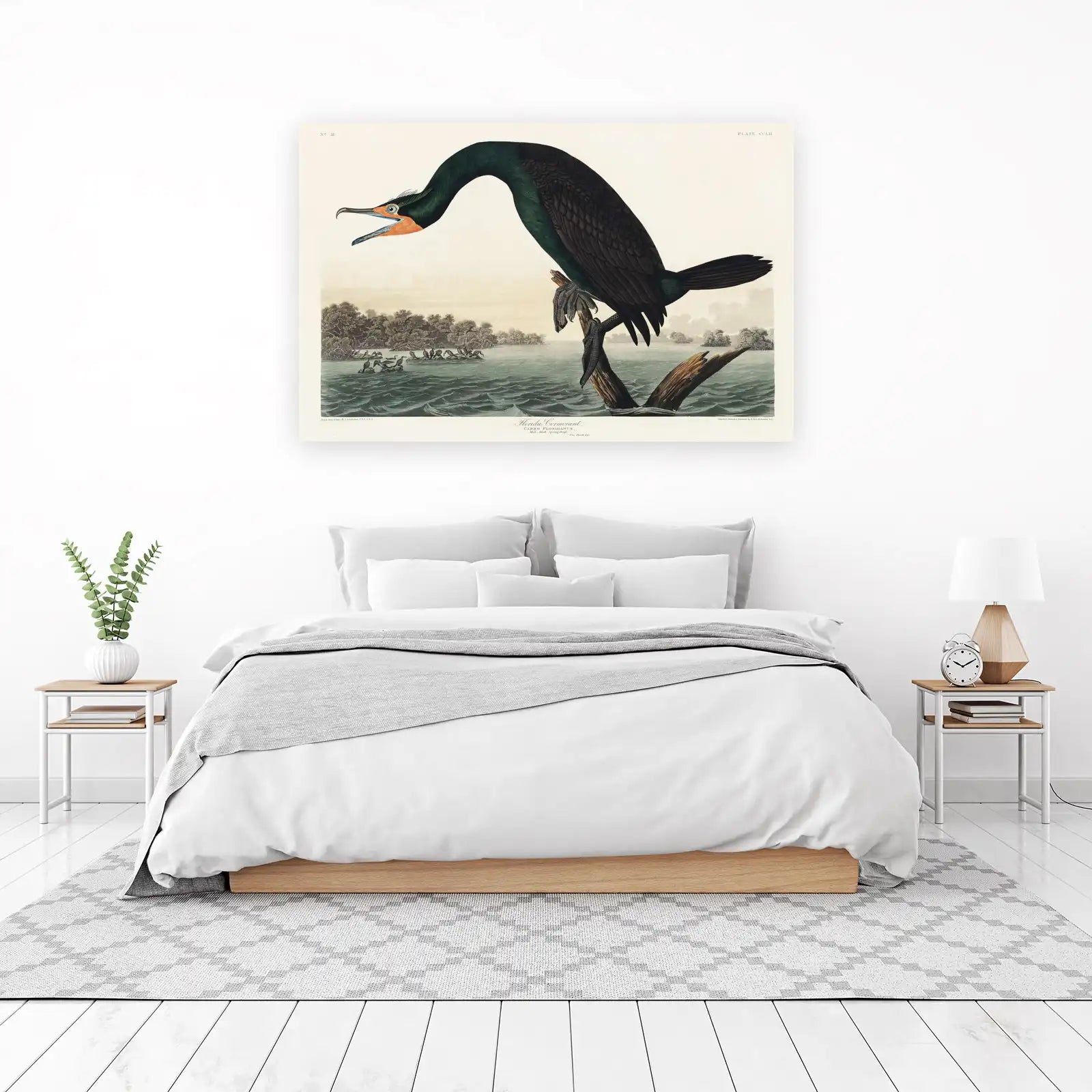 Vintage Florida Cormorant Bird Art Wall Art