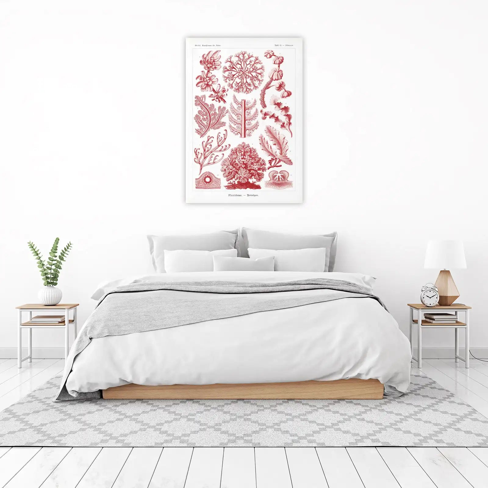 Vintage Red Algae Botanical Art Wall Art