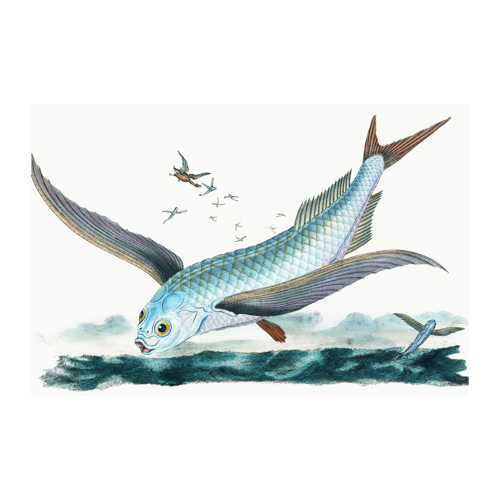 Enchanting Flying Fish & Birds Wall Art