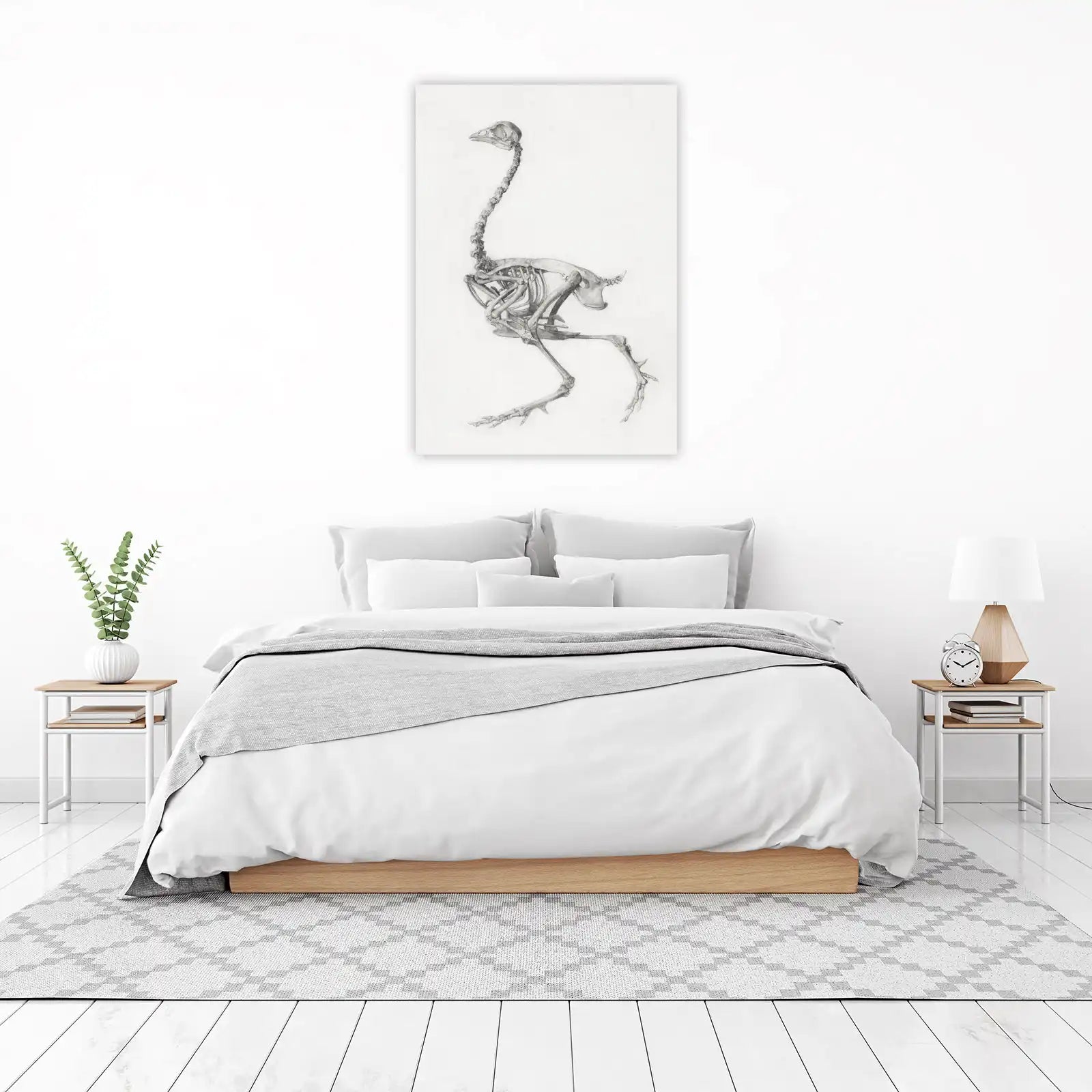 Vintage Bird Skeleton Scientific Illustration Wall Art