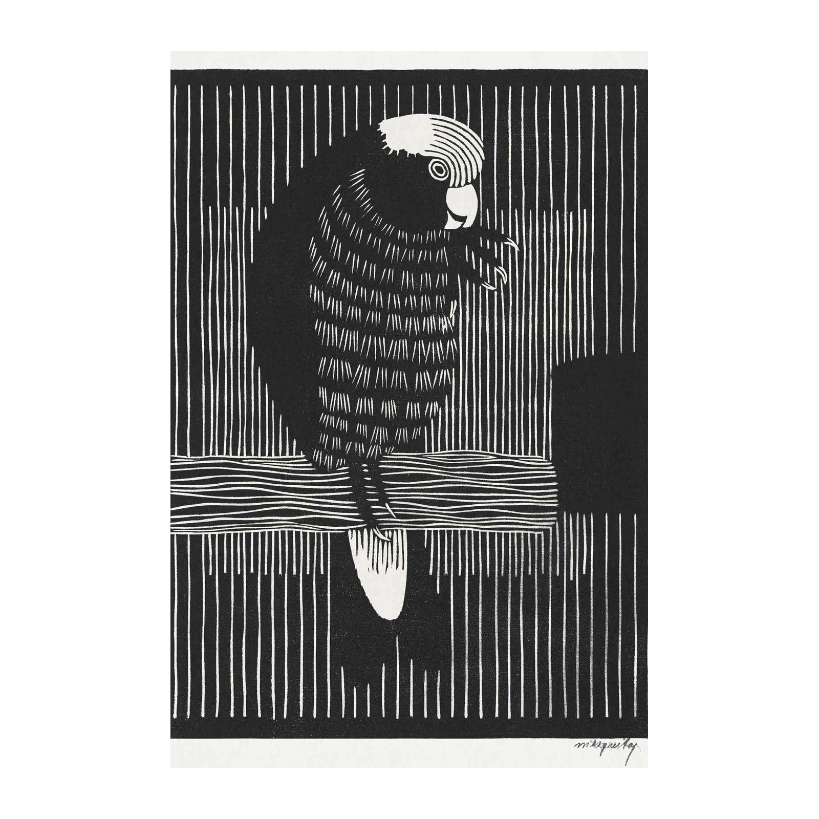 Bold Black Parrot Art Print - Bird Wall Art