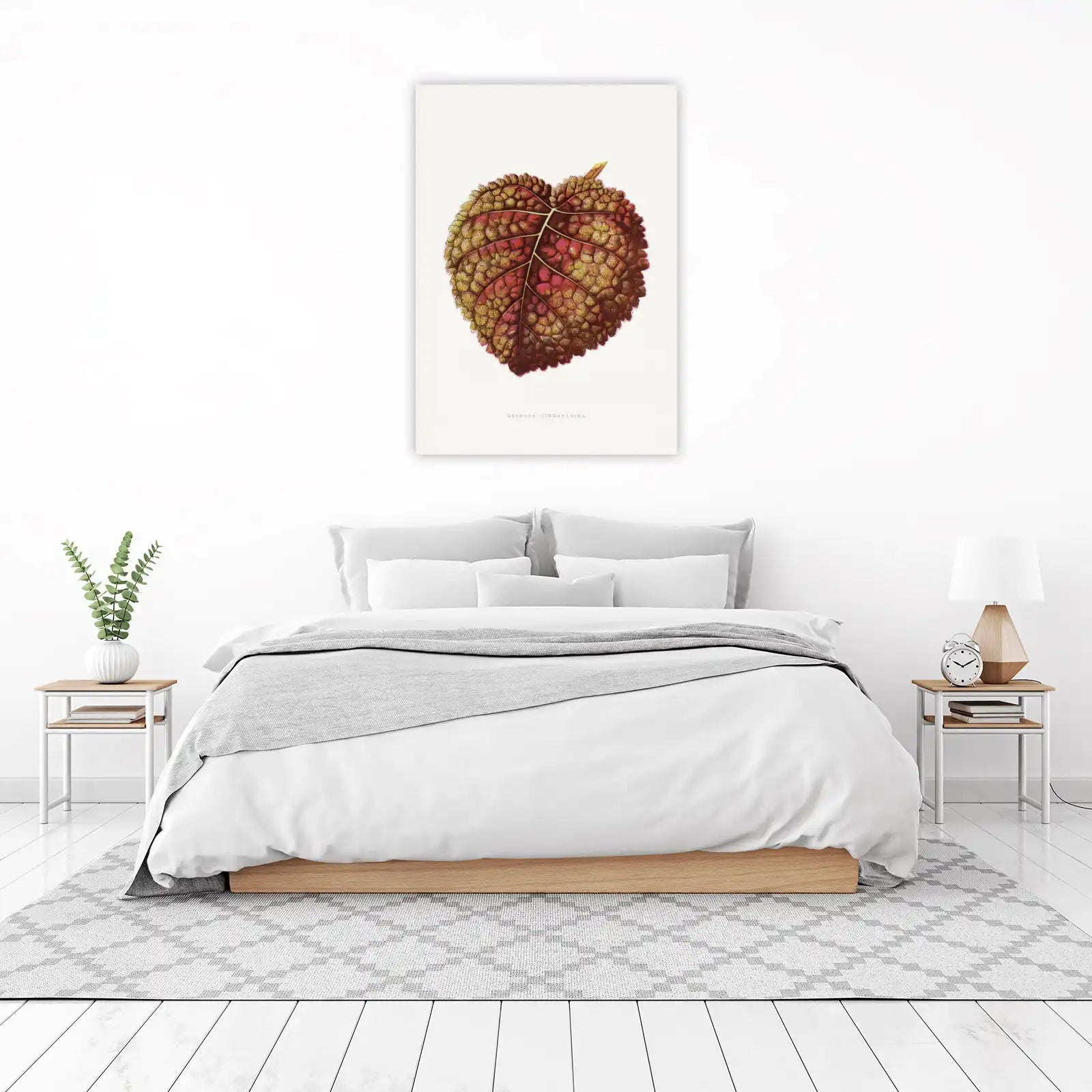 Botanical Leaf Art Print - Gesnera Cinnabarina Wall Art