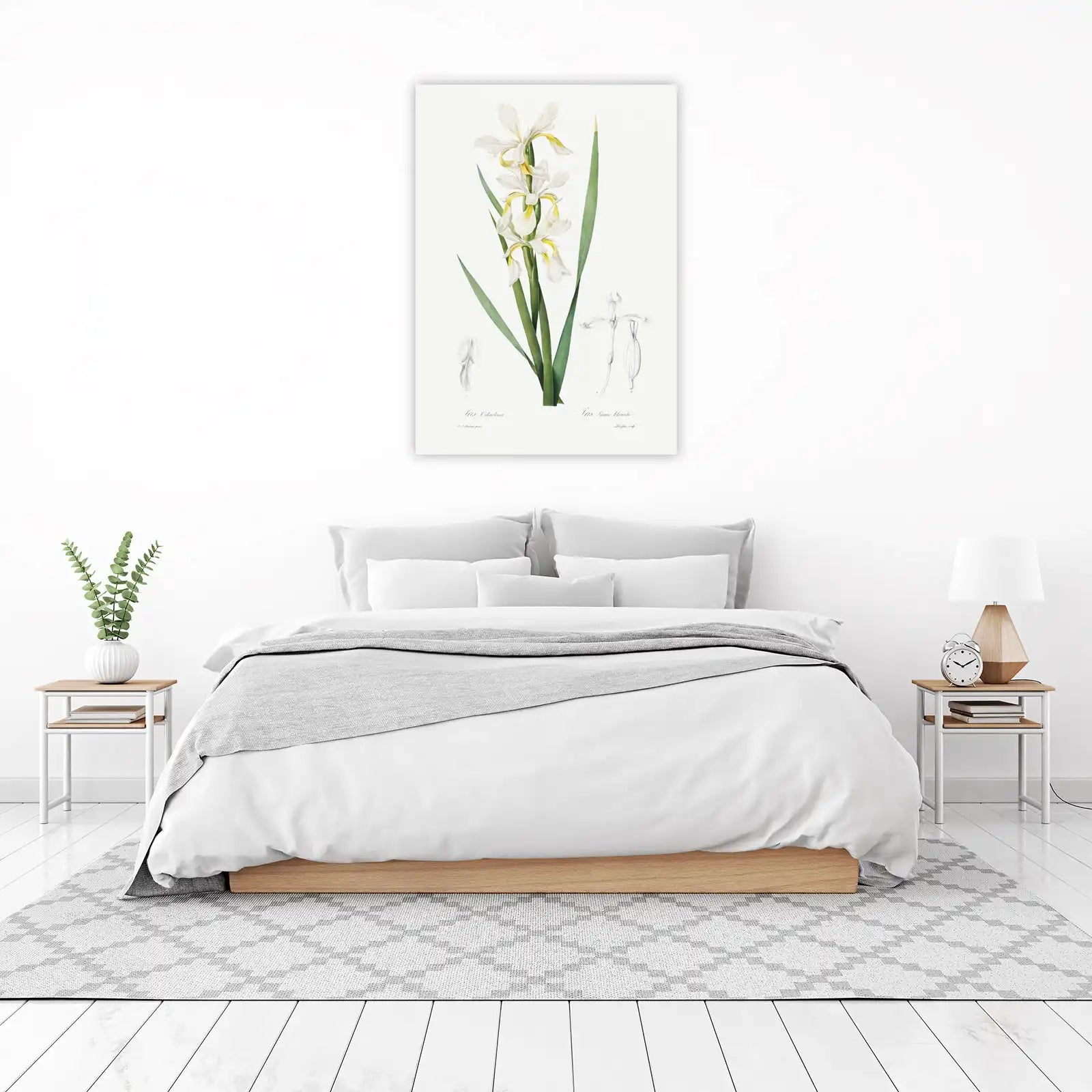 Vintage White Iris Botanical Wall Art