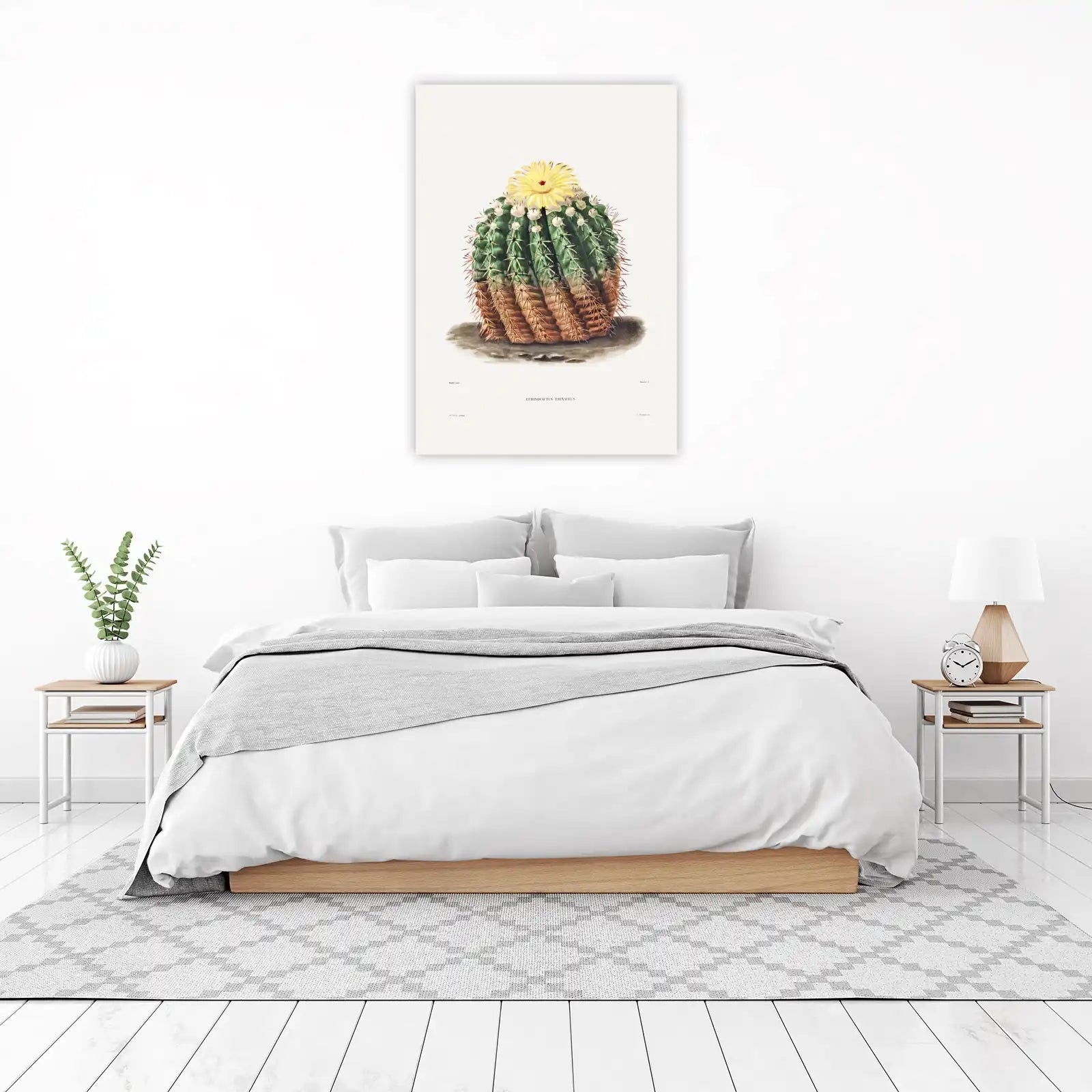 Vintage Echinocactus Erinaceus Cactus Wall Art