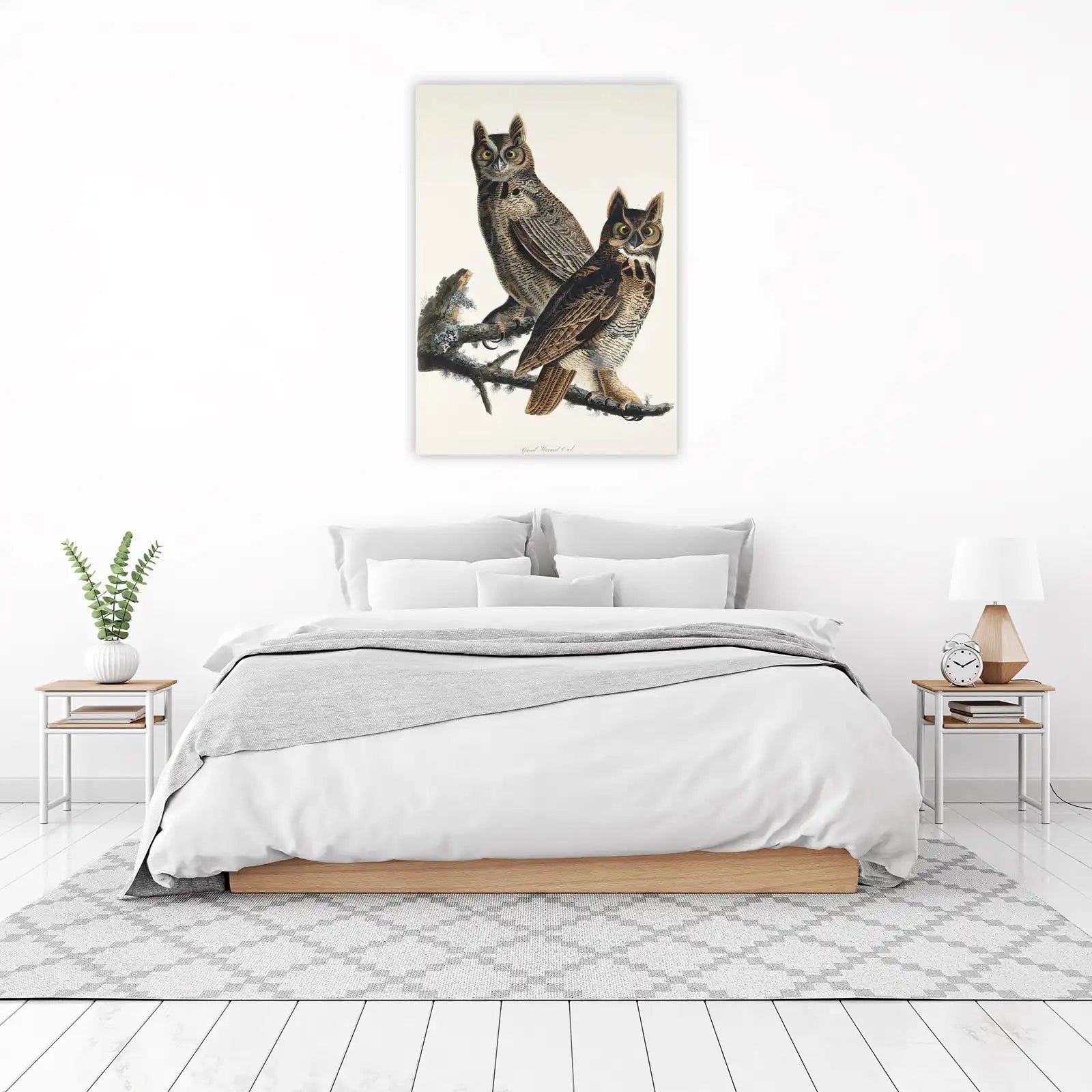 Great Horned Owl Pair Nature Wall Art