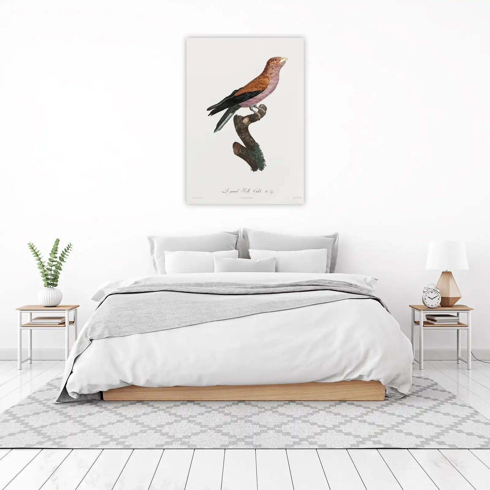Vintage Violet Roller Bird Art Wall Art