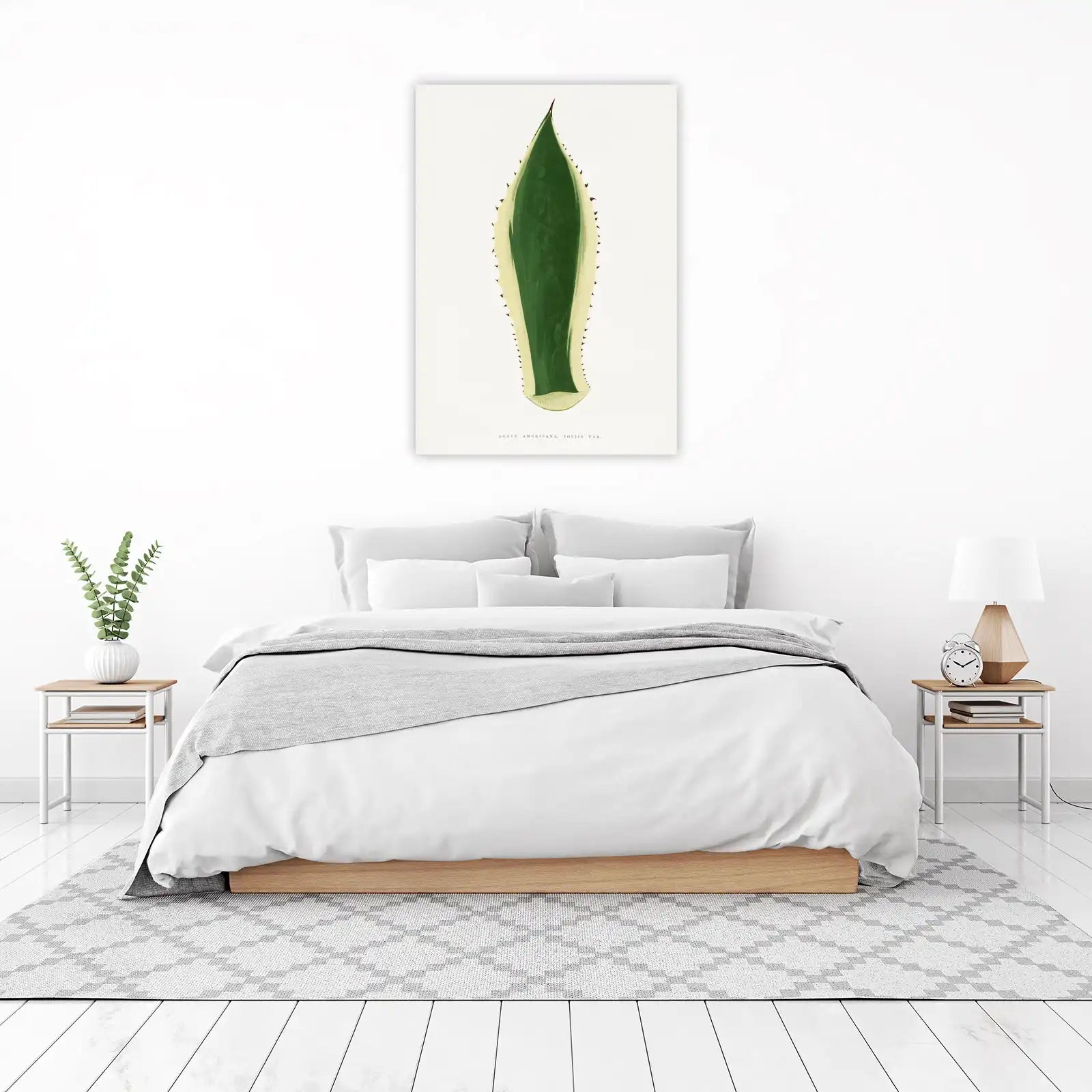 Elegant Agave Botanical Art Wall Art