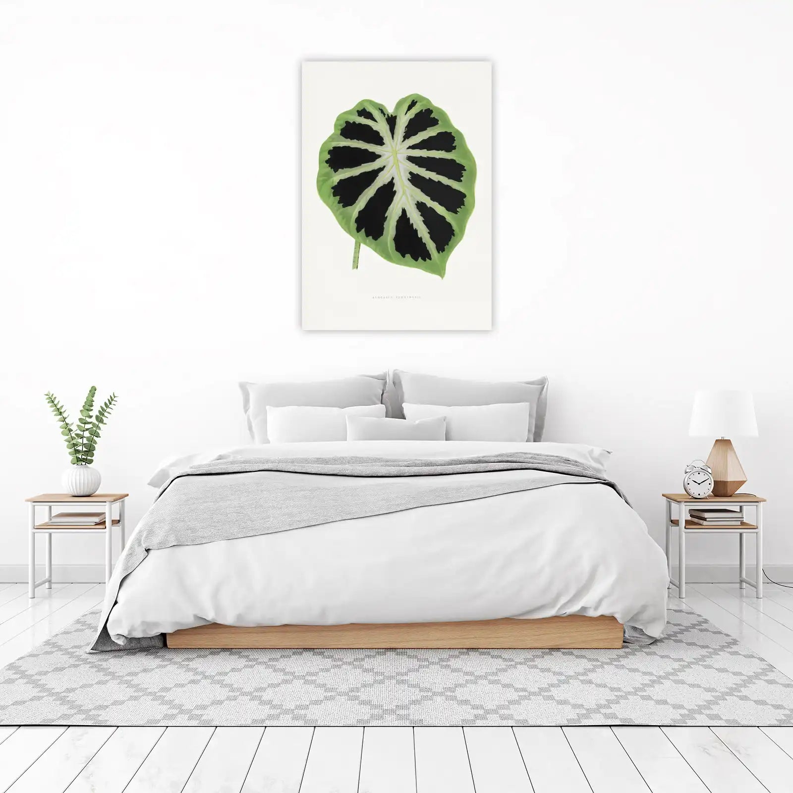 Alocasia Jenningsii Leaf Botanical Wall Art