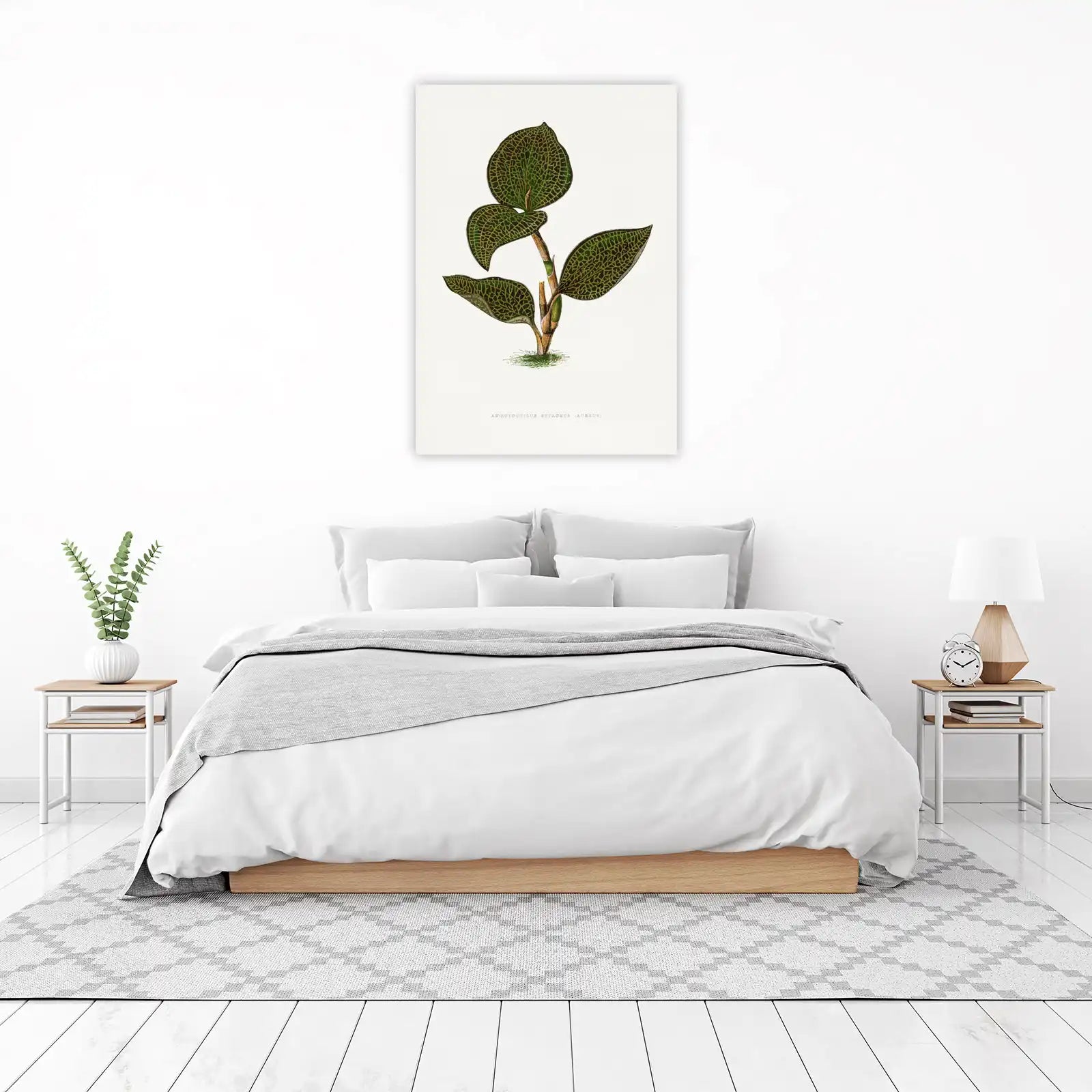 Jewel Orchid Botanical Vintage Wall Art