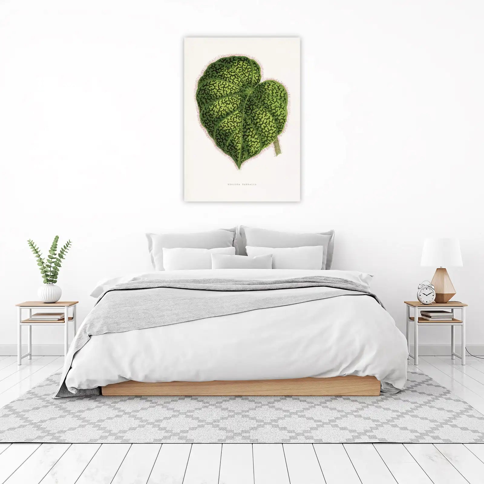 Exotic Begonia Daedalean Leaf Botanical Wall Art