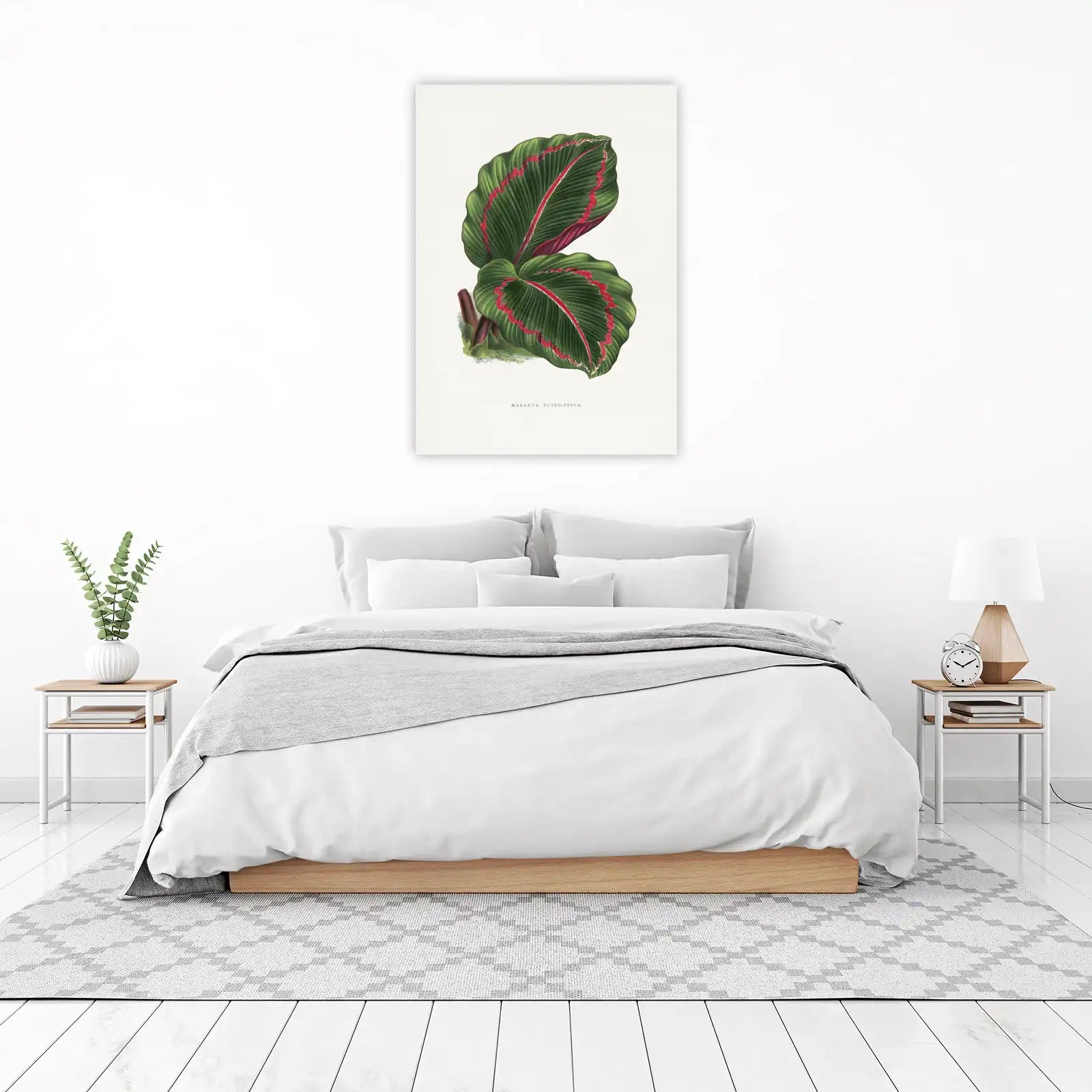 Vintage Maranta Roseo-Picta Botanical Wall Art
