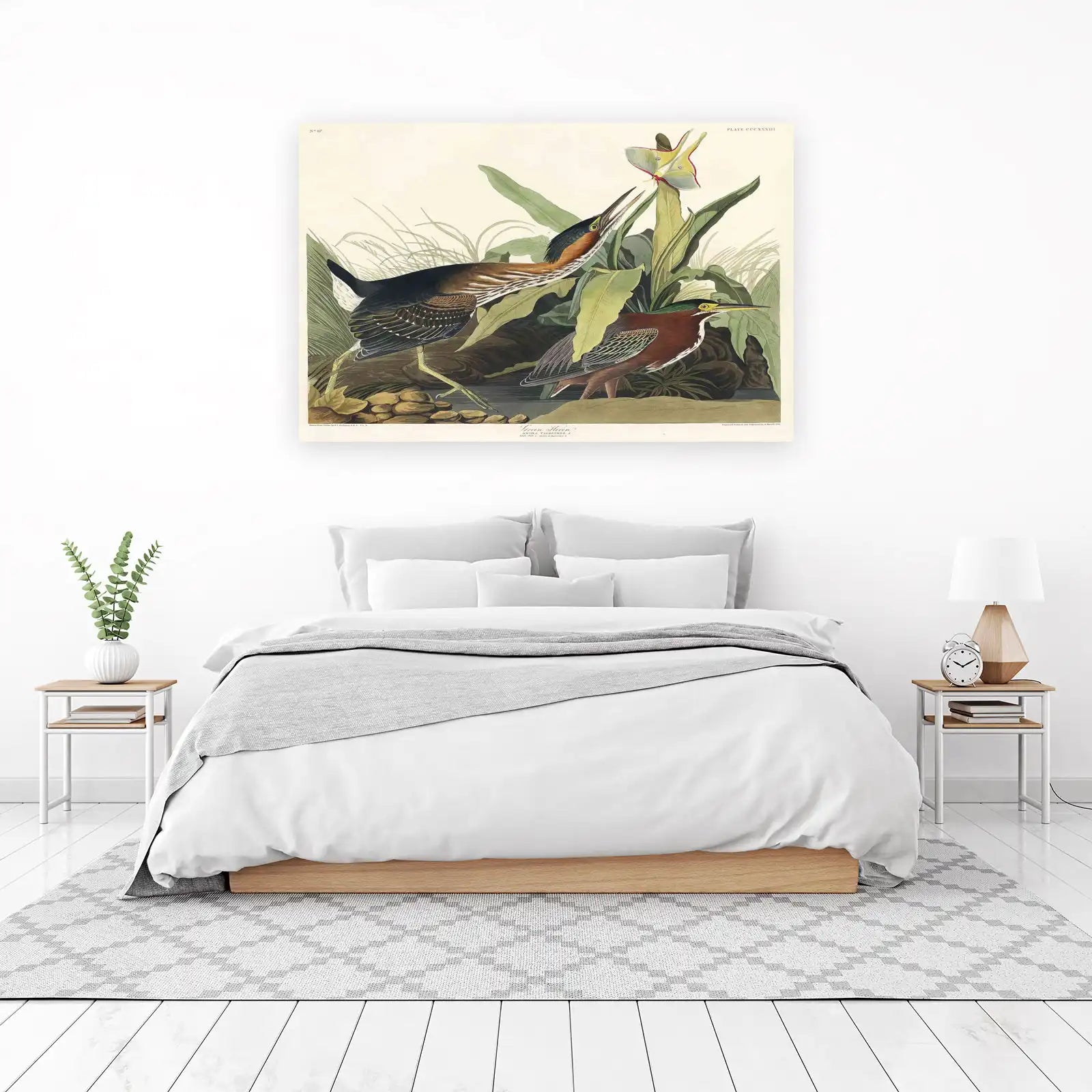 Green Heron & Luna Moth Vintage Bird Art Wall Art