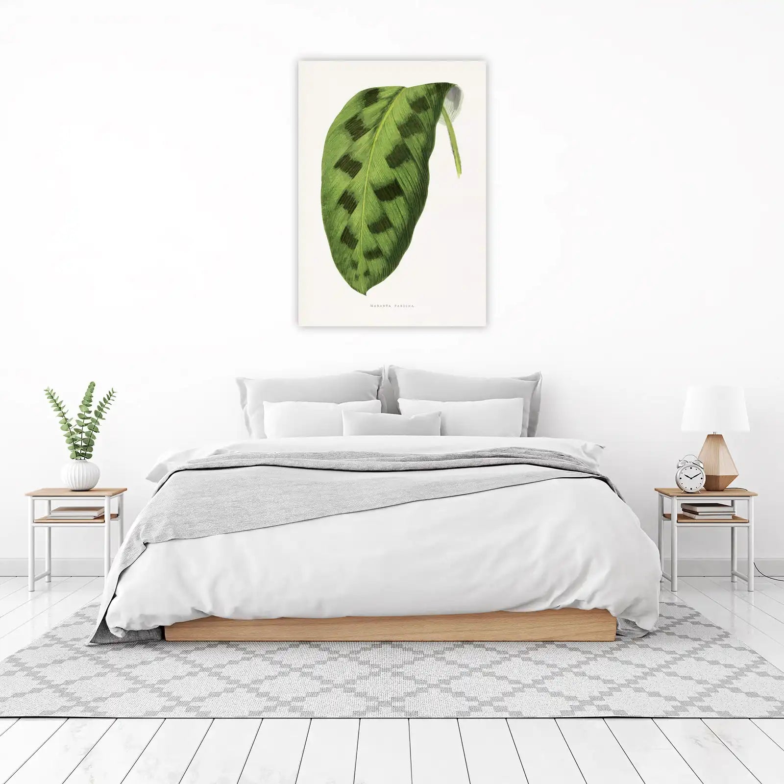 Maranta Pardina Botanical Leaf Wall Art