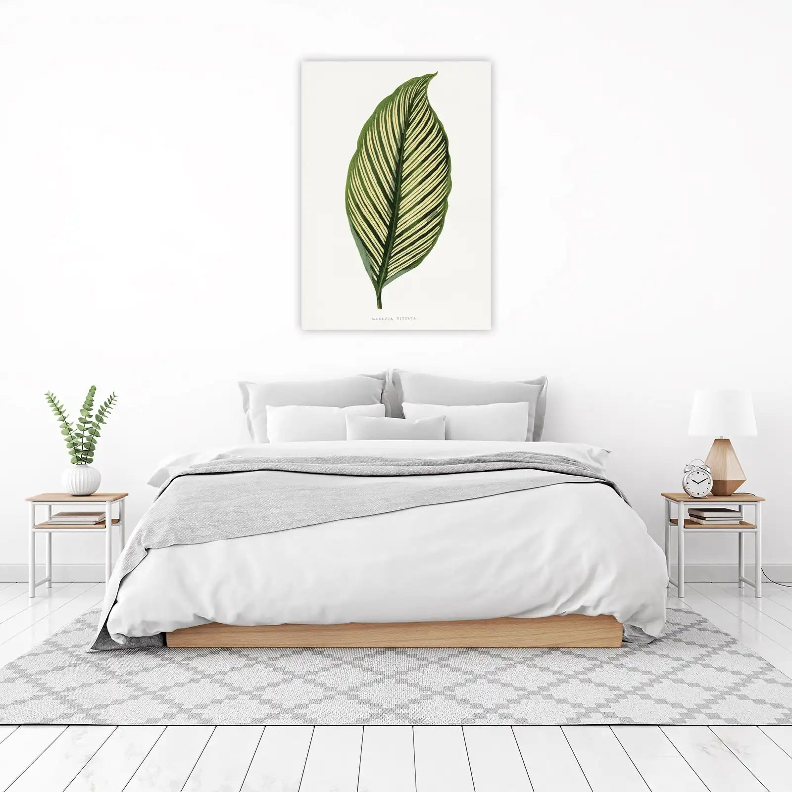 Botanical Leaf Maranta Vittata Wall Art