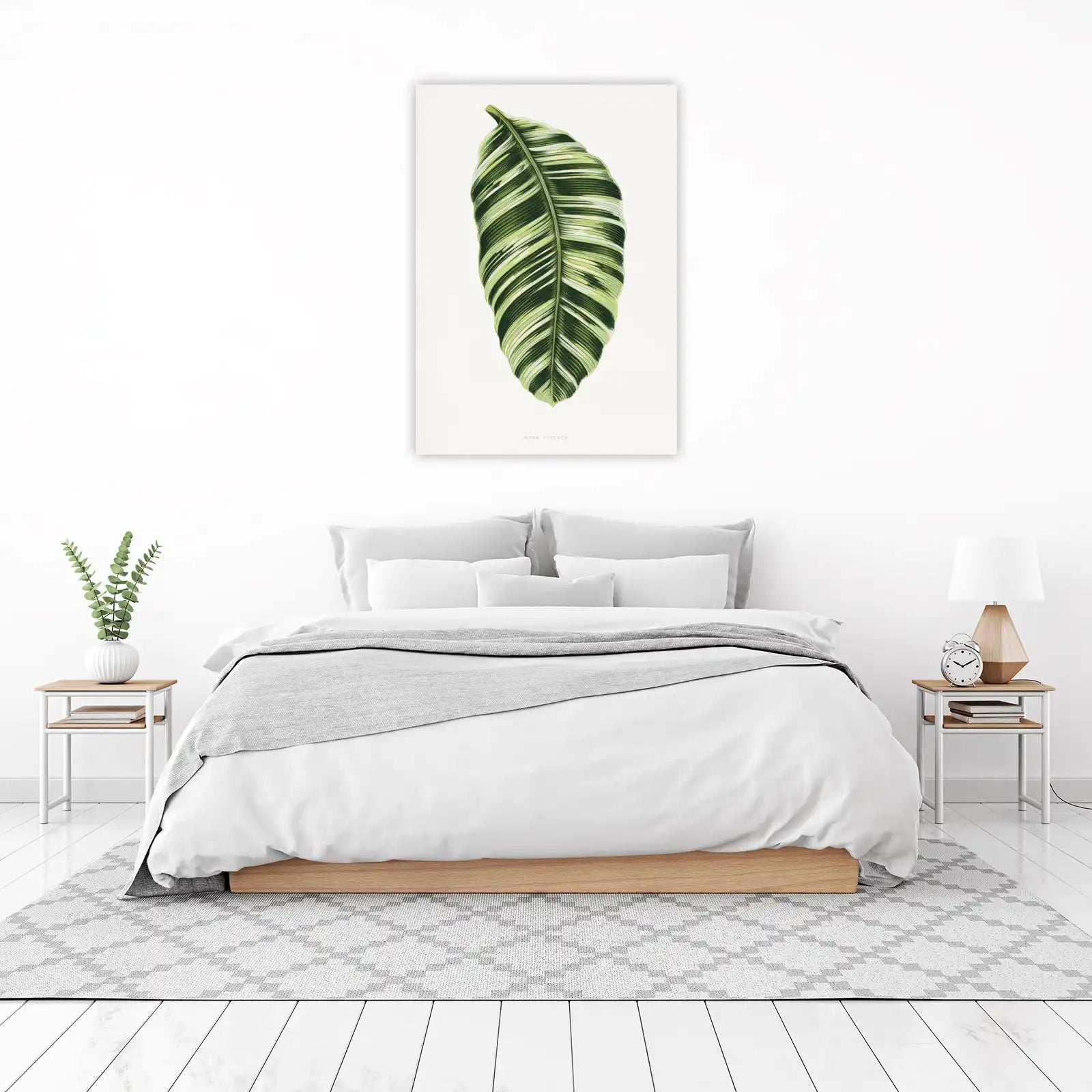 Musa Vittata Botanical Leaf Wall Art