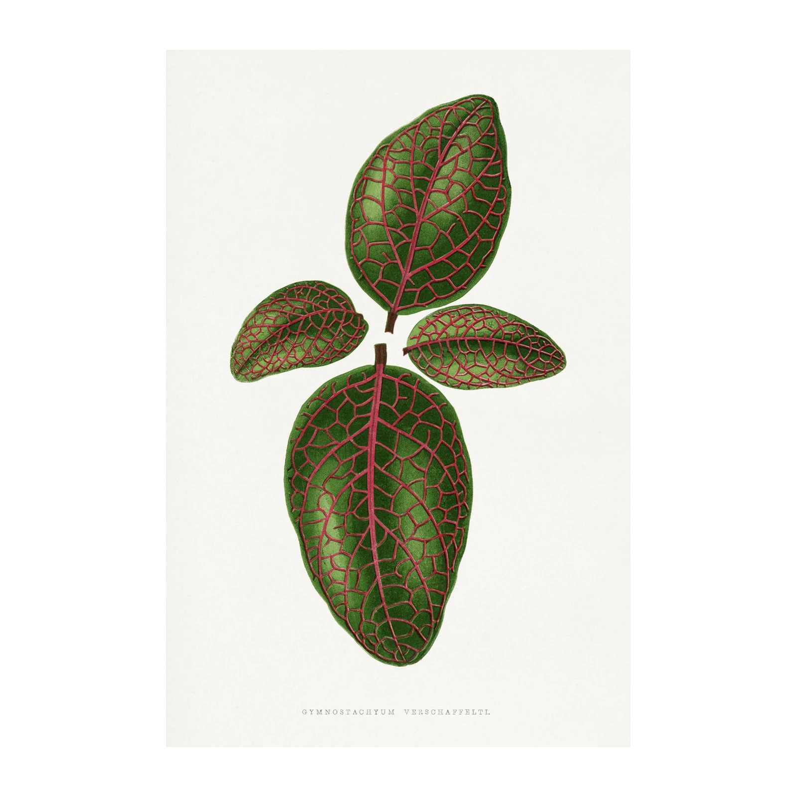Vintage Green Leaf Botanical Wall Art