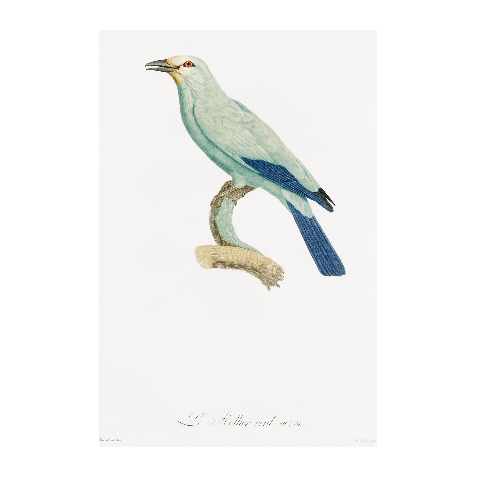 Elegant Blue Bird Nature Wall Art