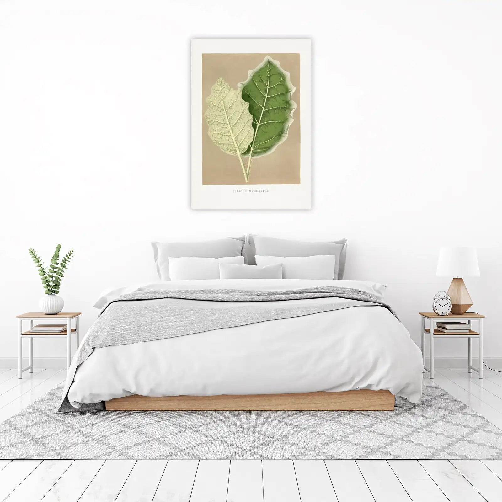 Botanical Solanum Marginatum Leaves Wall Art
