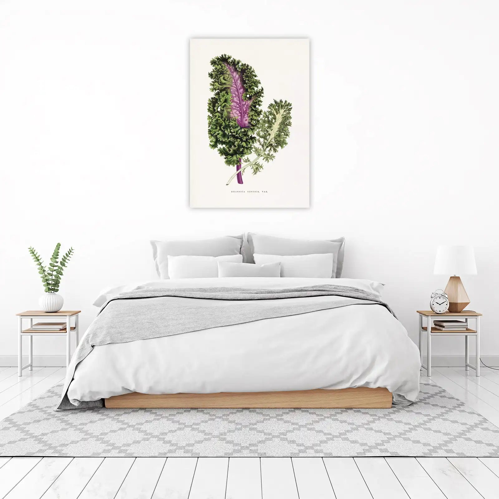 Vintage Kale Botanical Art Wall Art