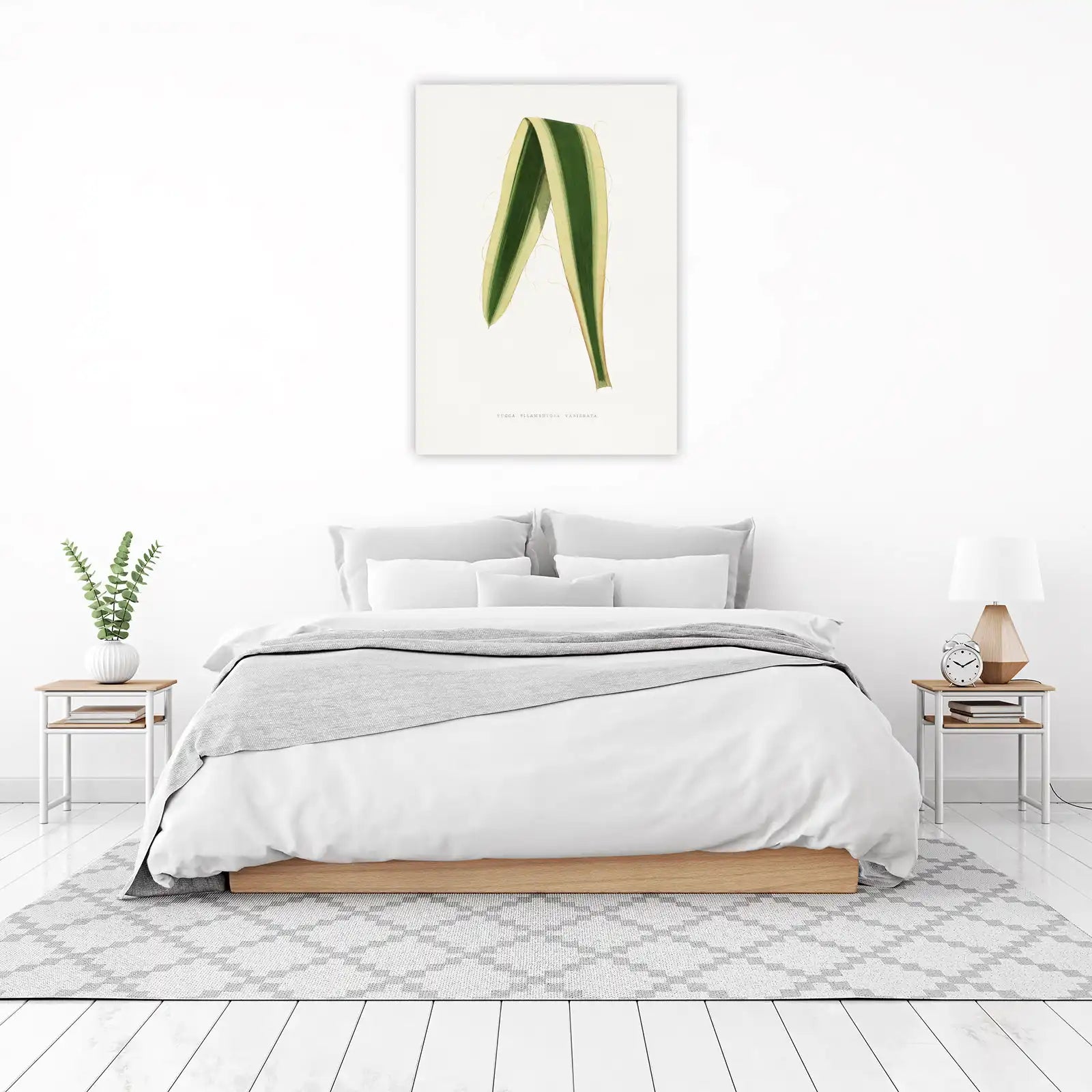 Variegated Yucca Botanical Vintage Wall Art
