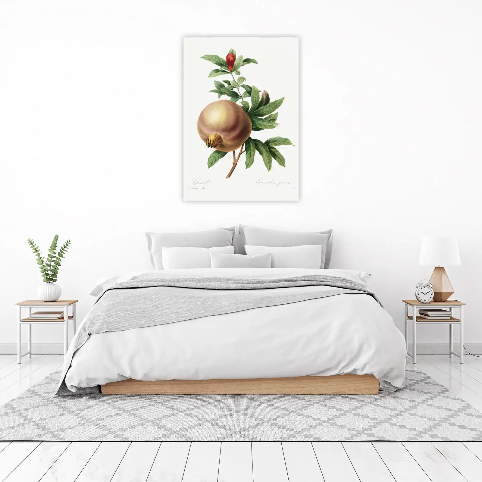 Vintage Pomegranate Botanical Art Wall Art