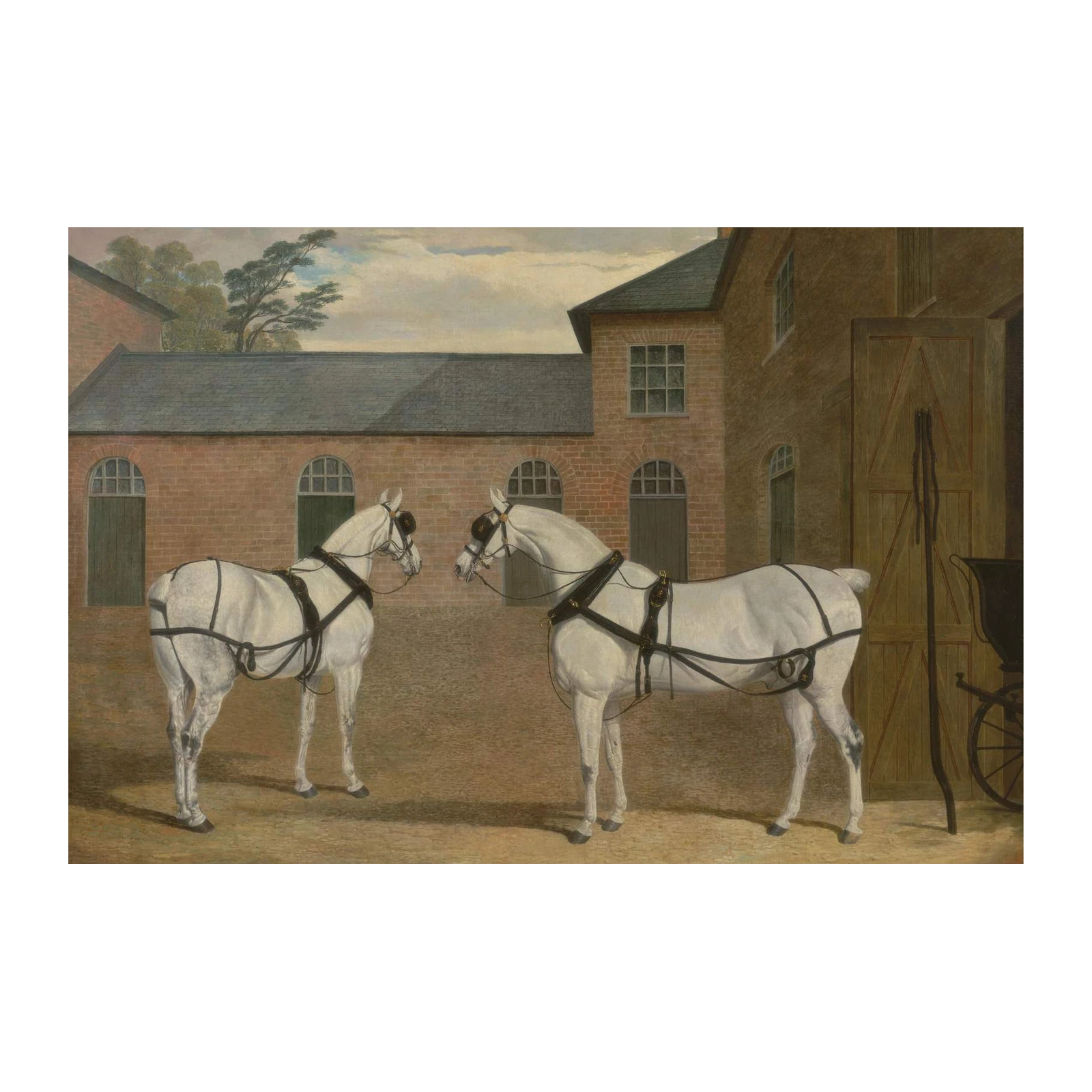 Elegant White Horses Stable Scene Wall Art