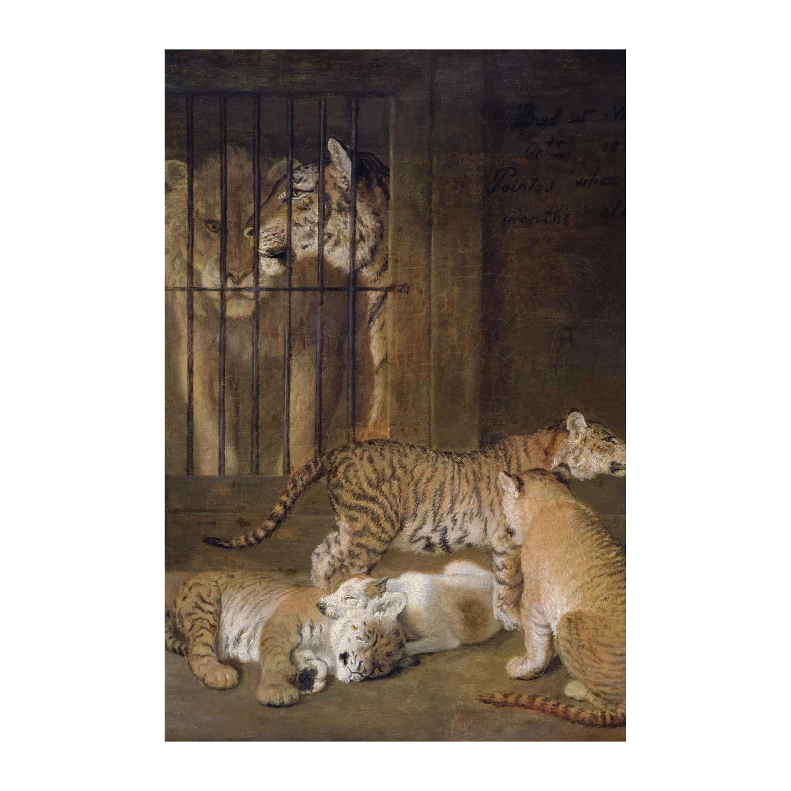 Majestic Big Cats Regal Roar Wall Art