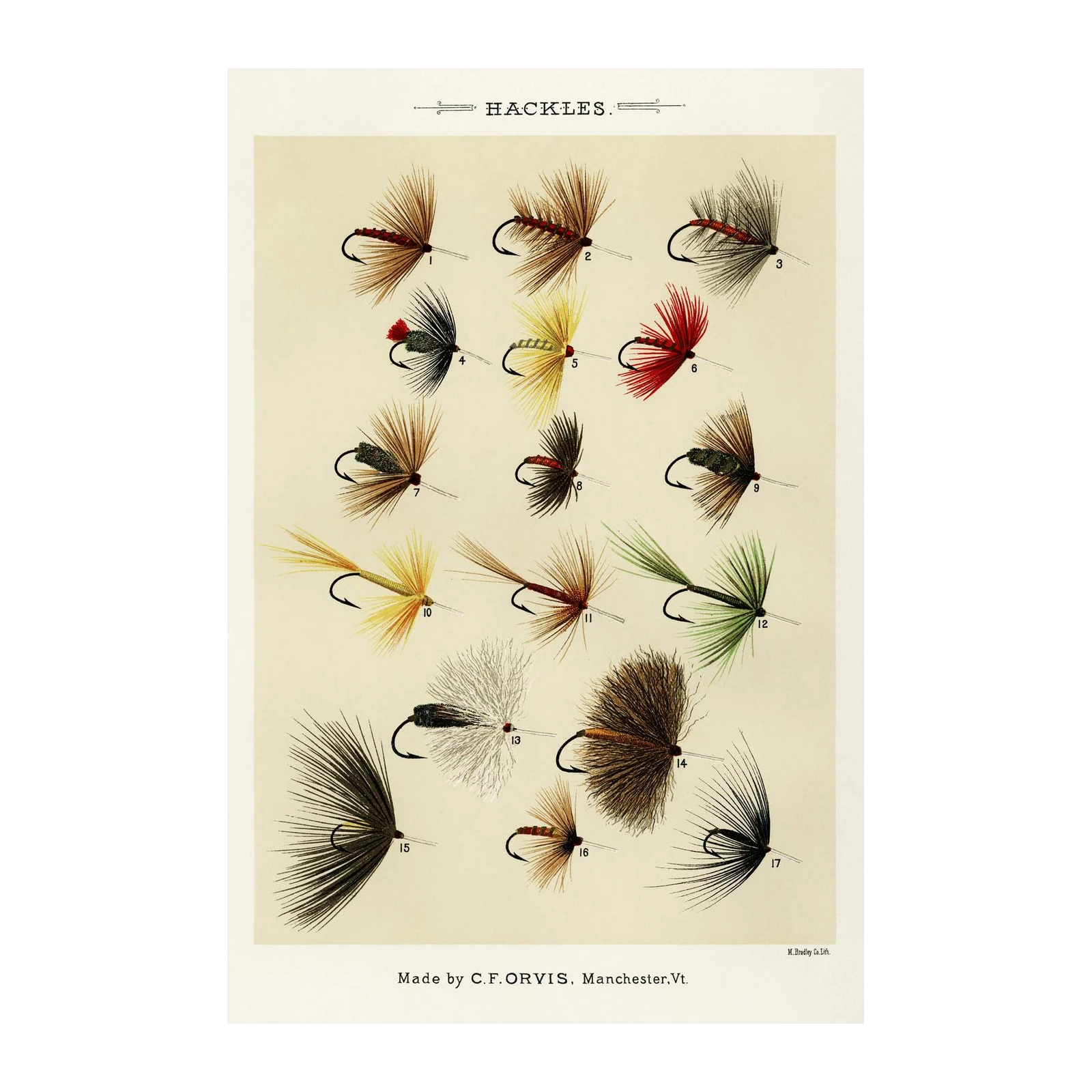 Vintage Fly Fishing Lures "Hackles" Wall Art