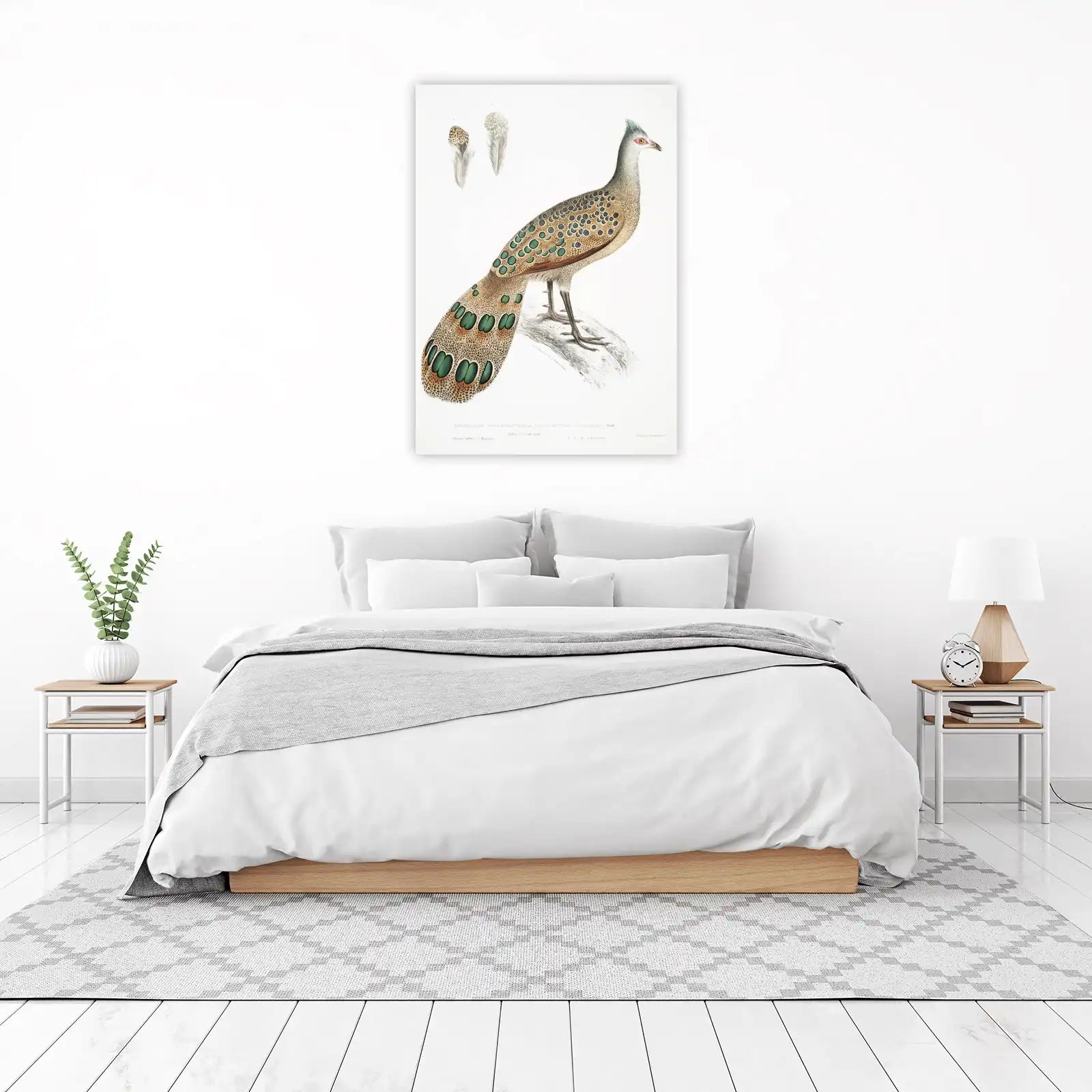 Exquisite Peacock Pheasant Wall Art - Vintage Bird Art