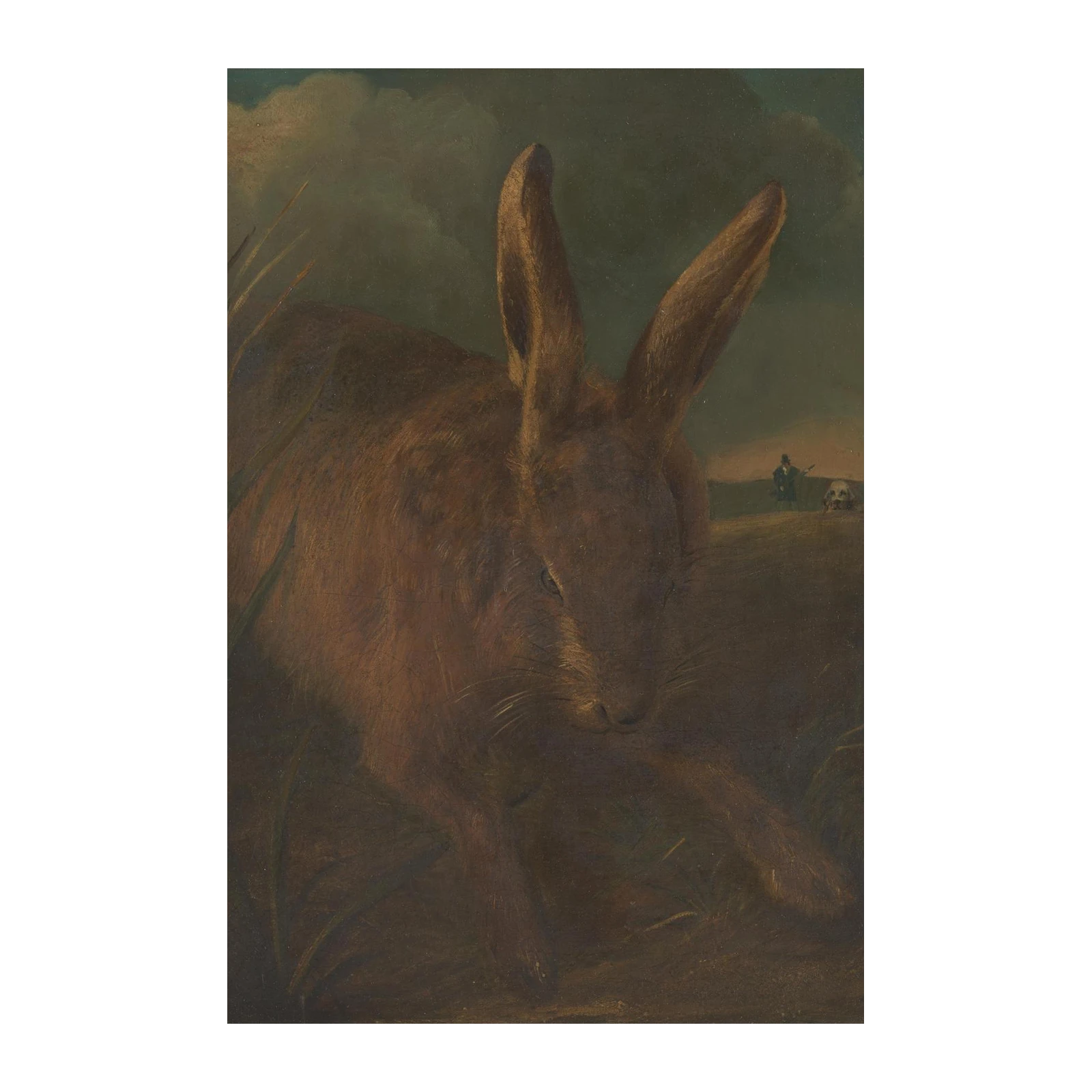 Vintage Hare in Field Wall Art