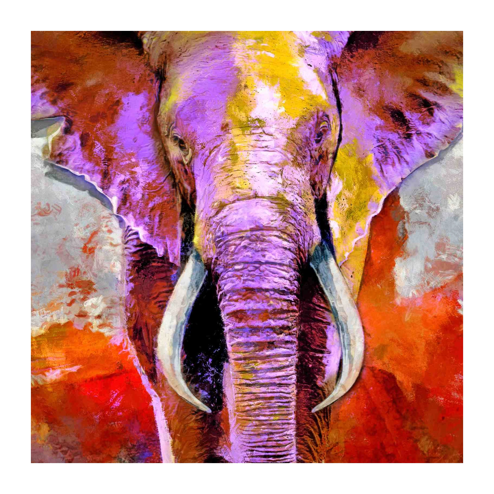 Vibrant Elephant Portrait Wall Art