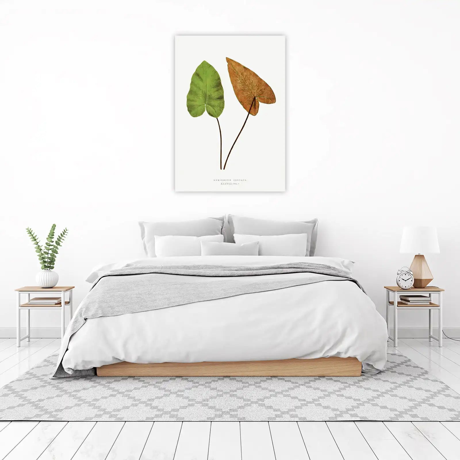 Vintage Fern Art: Hemionitis Cordata Wall Art