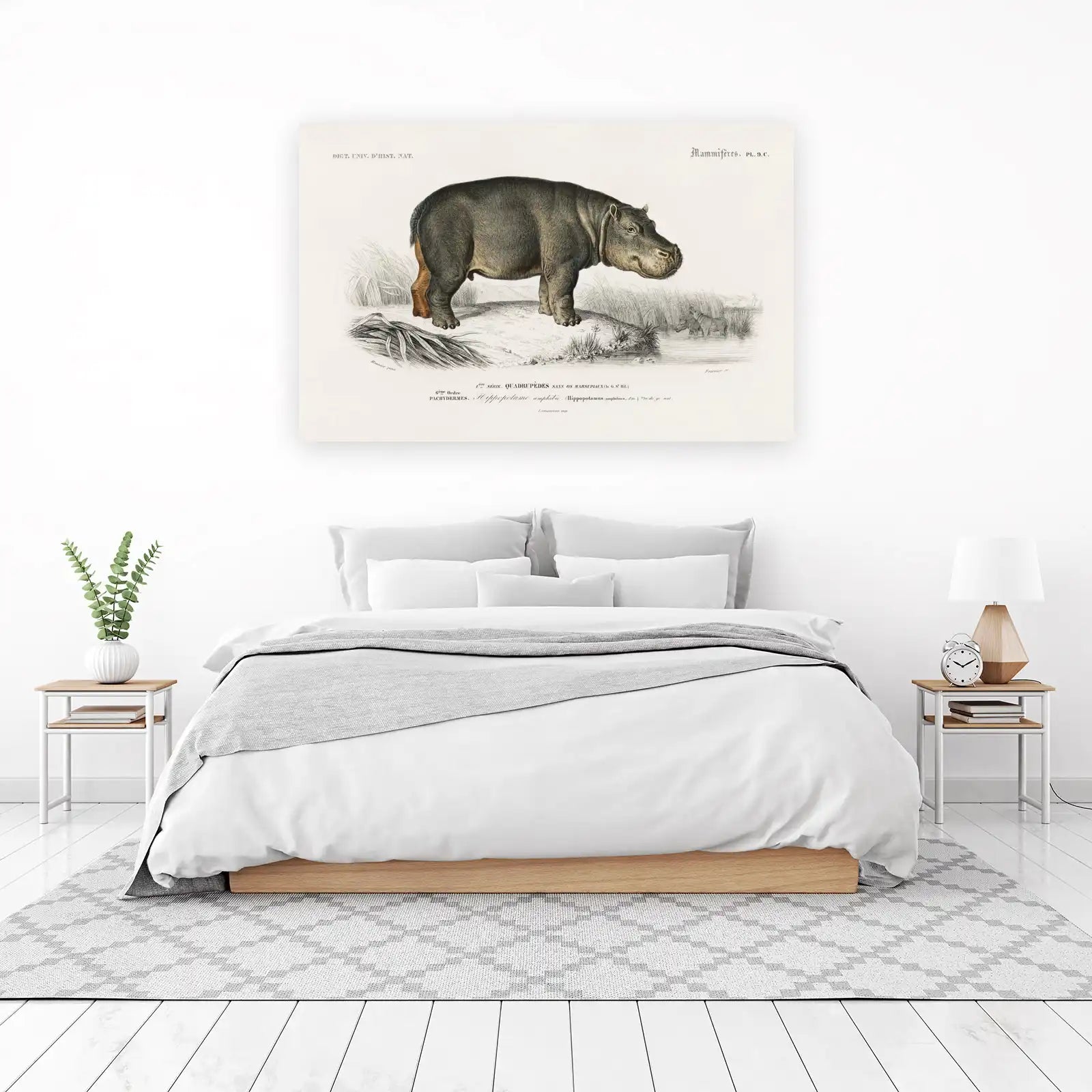 Vintage Hippo Nature Illustration Wall Art